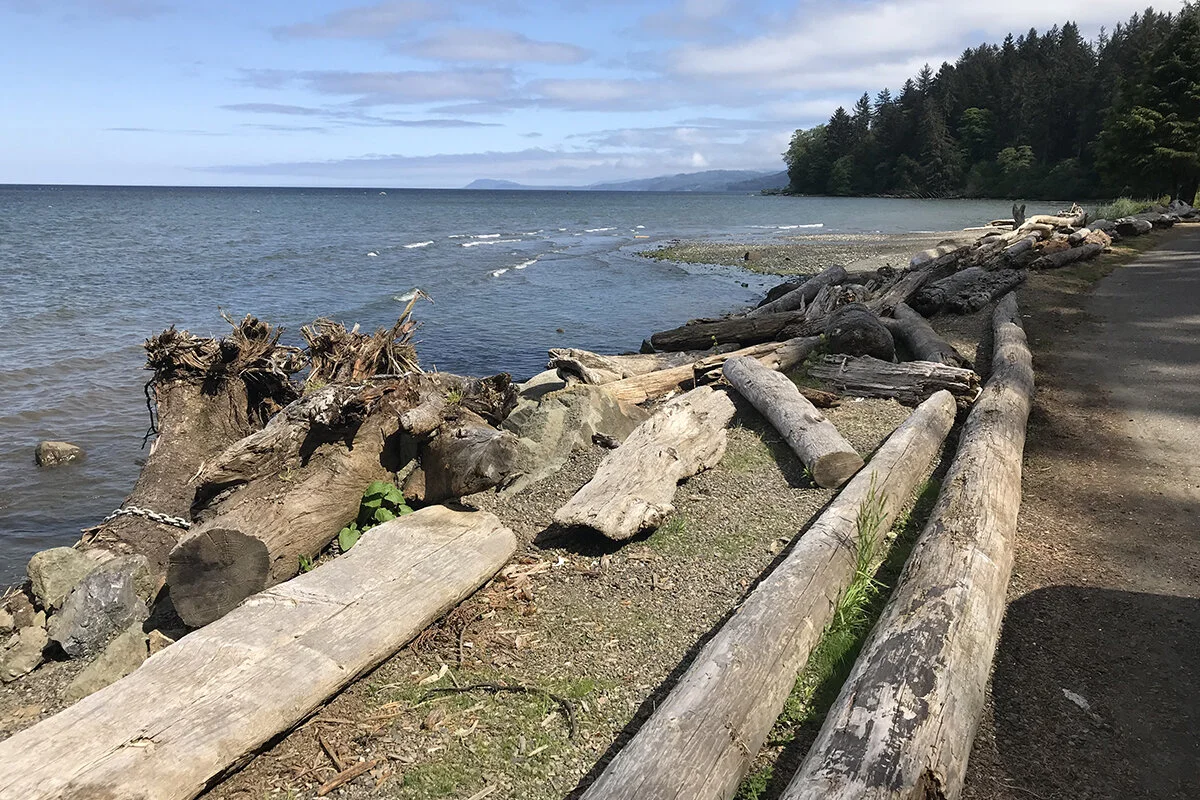 Pillar Point County Park | photo ScenicWA