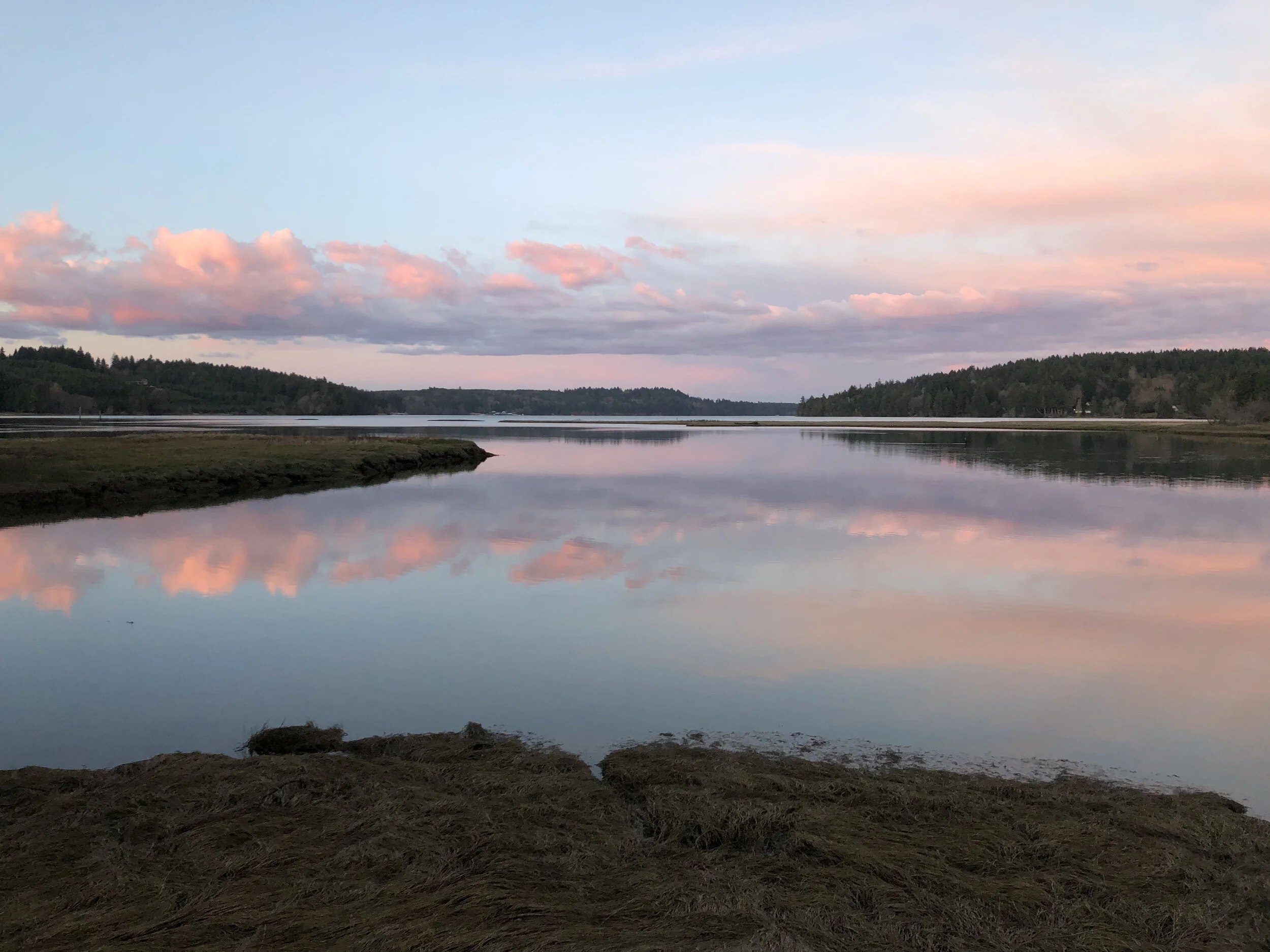Kennedy Creek Preserve