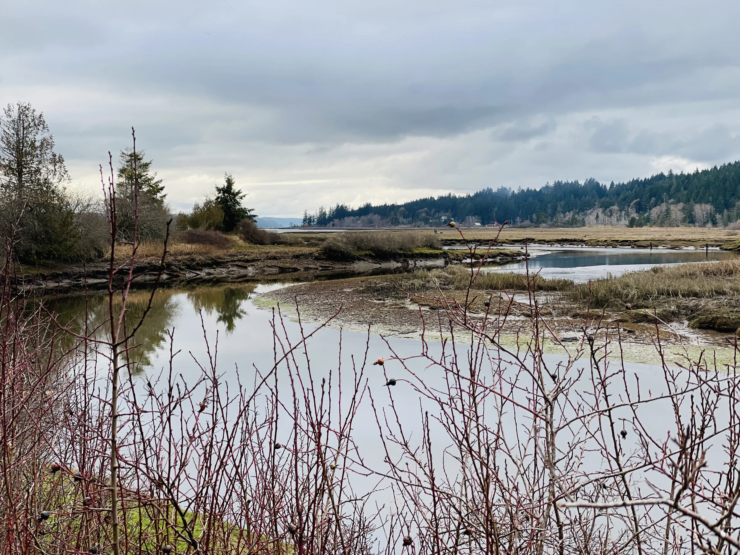 Mary E. Theler Wetlands Nature Preserve