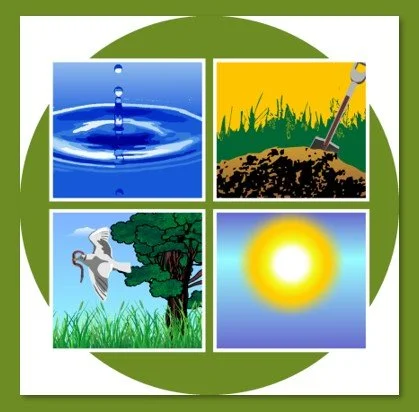 The 4 Fundamental Ecosystem Functions