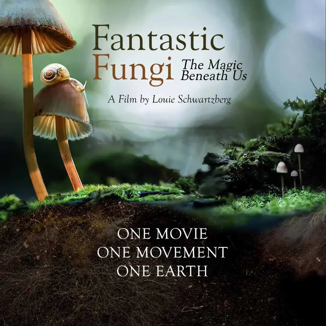 Fantastic Fungi