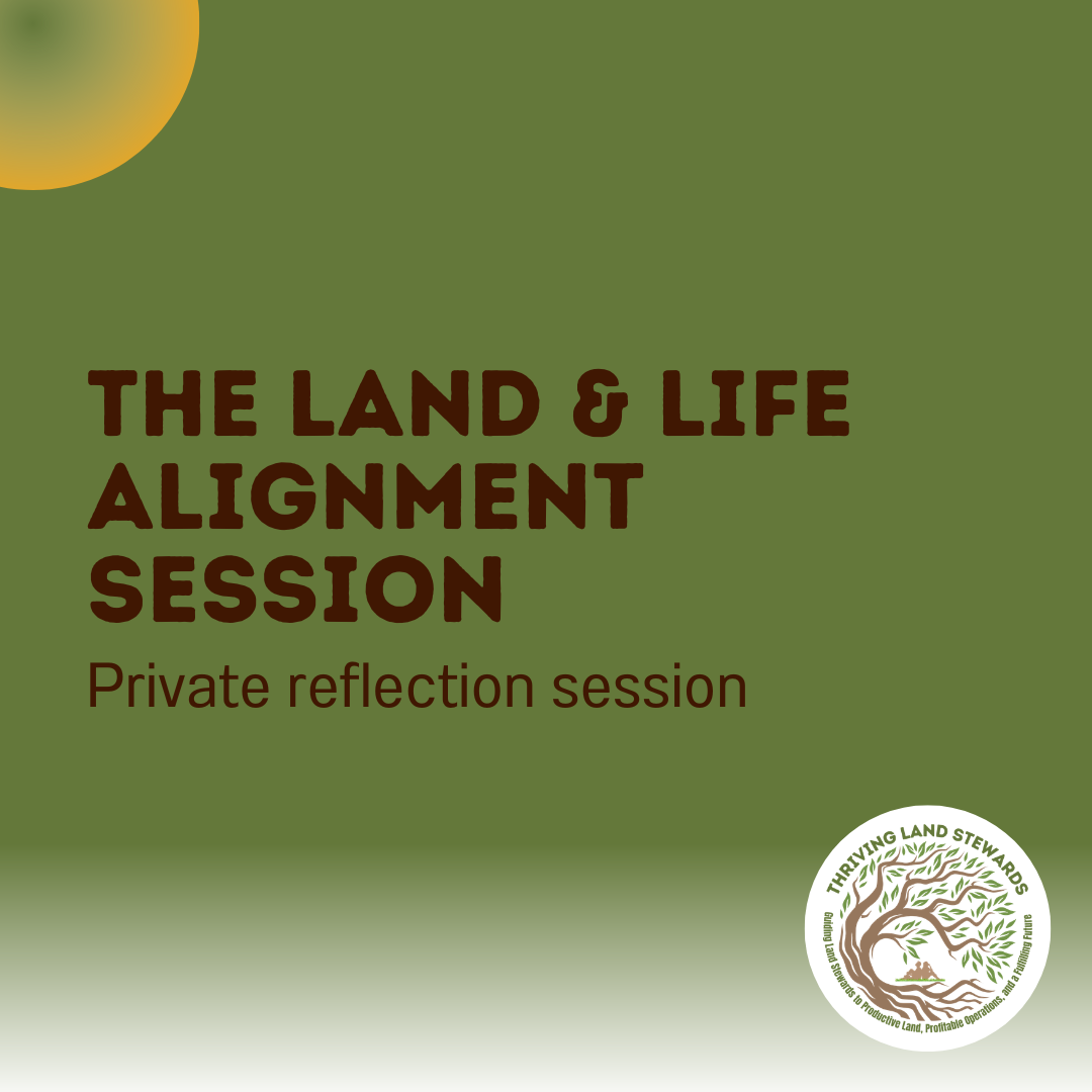 The Decision Lab Worksheet (5).png