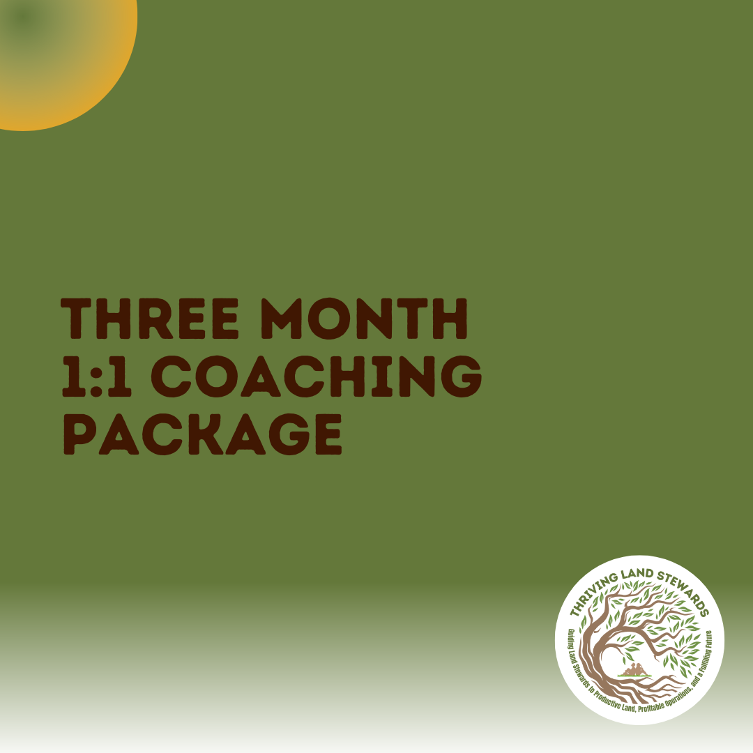 The Decision Lab Worksheet (3).png