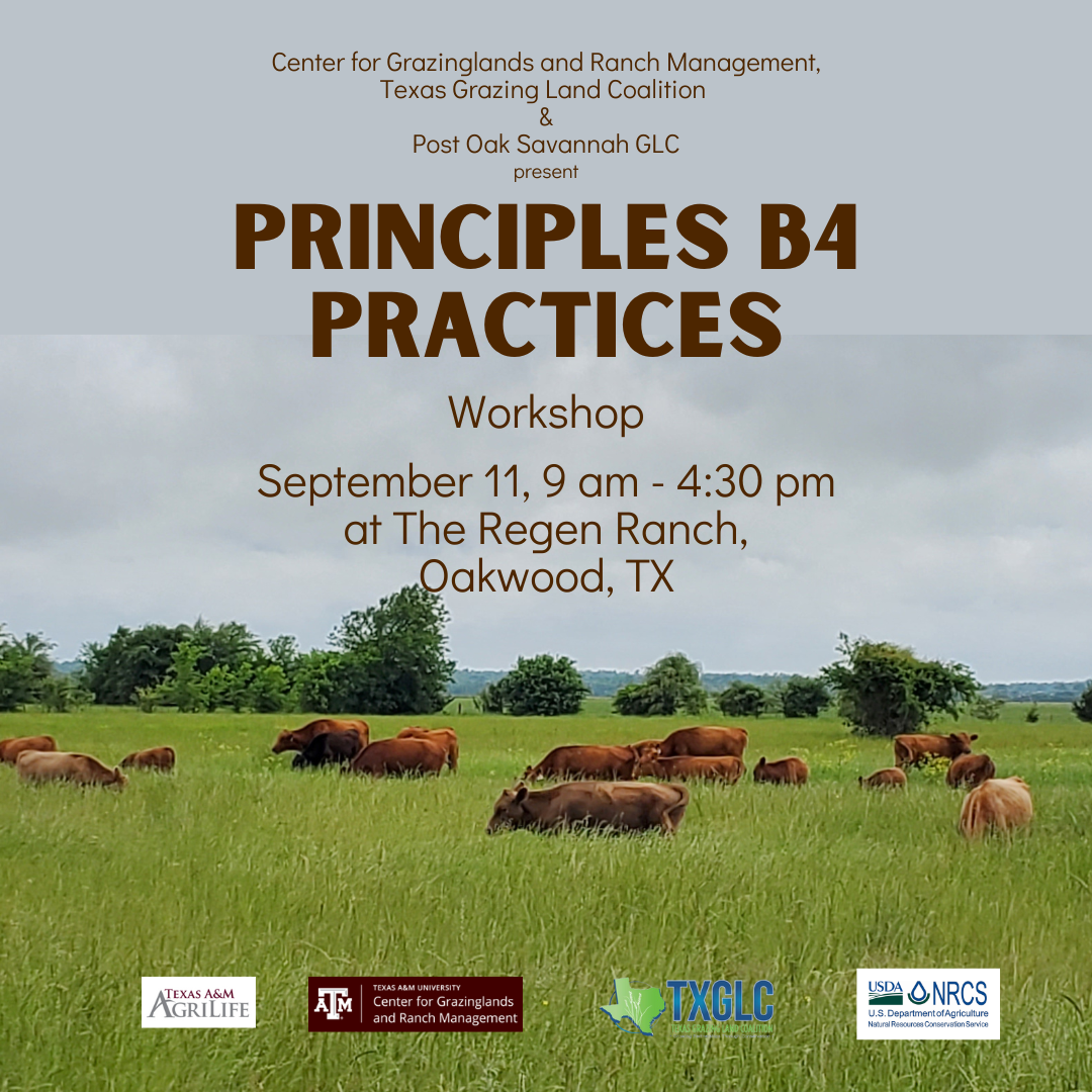 Principles B4 Practices.png