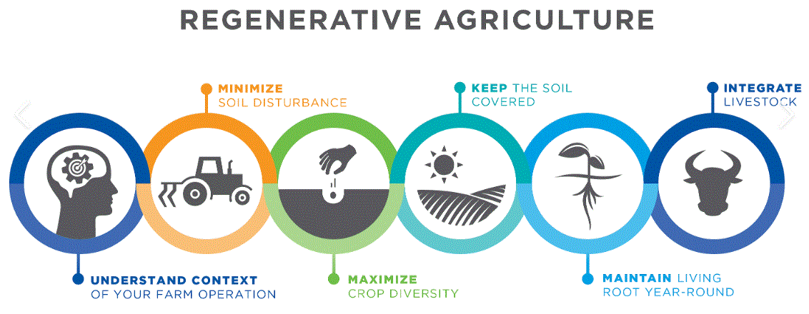 Christine Martin, regenerative agriculture, holistic management, coach, principles of regen ag