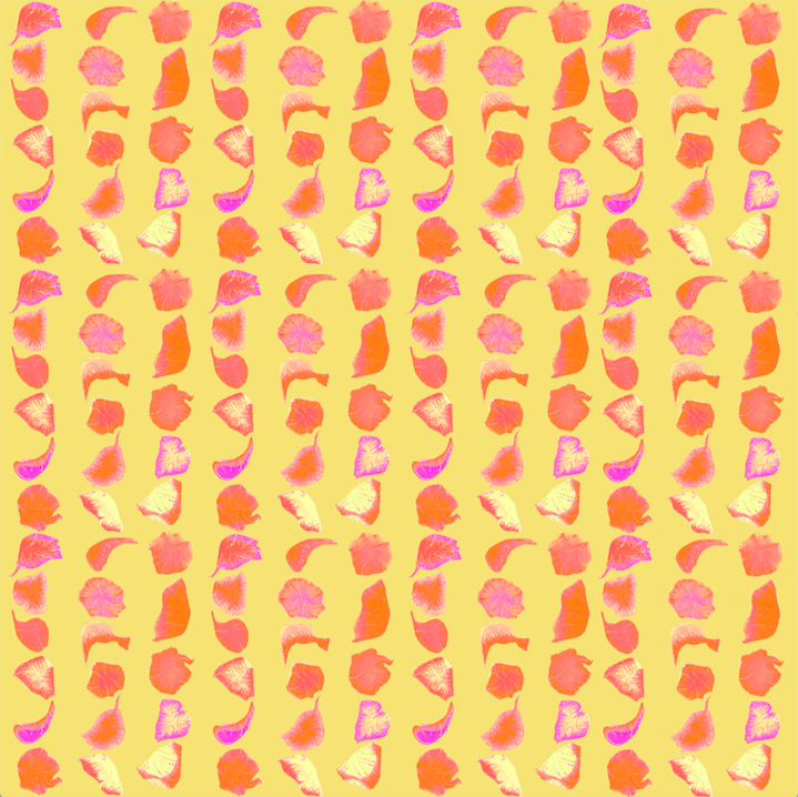 Screen Shot 2021-01-22 at 3.45.32 PM.png