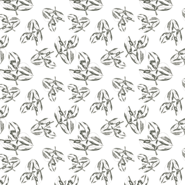Screen Shot 2021-01-22 at 3.48.12 PM.png