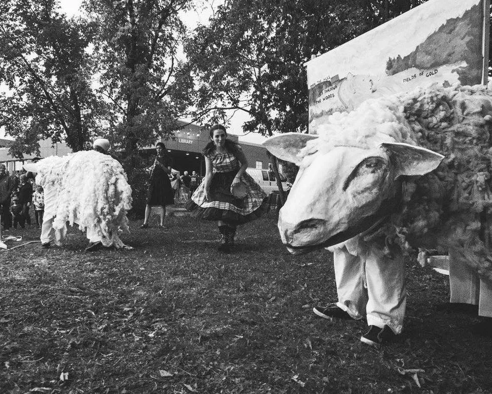 sheep.jpg