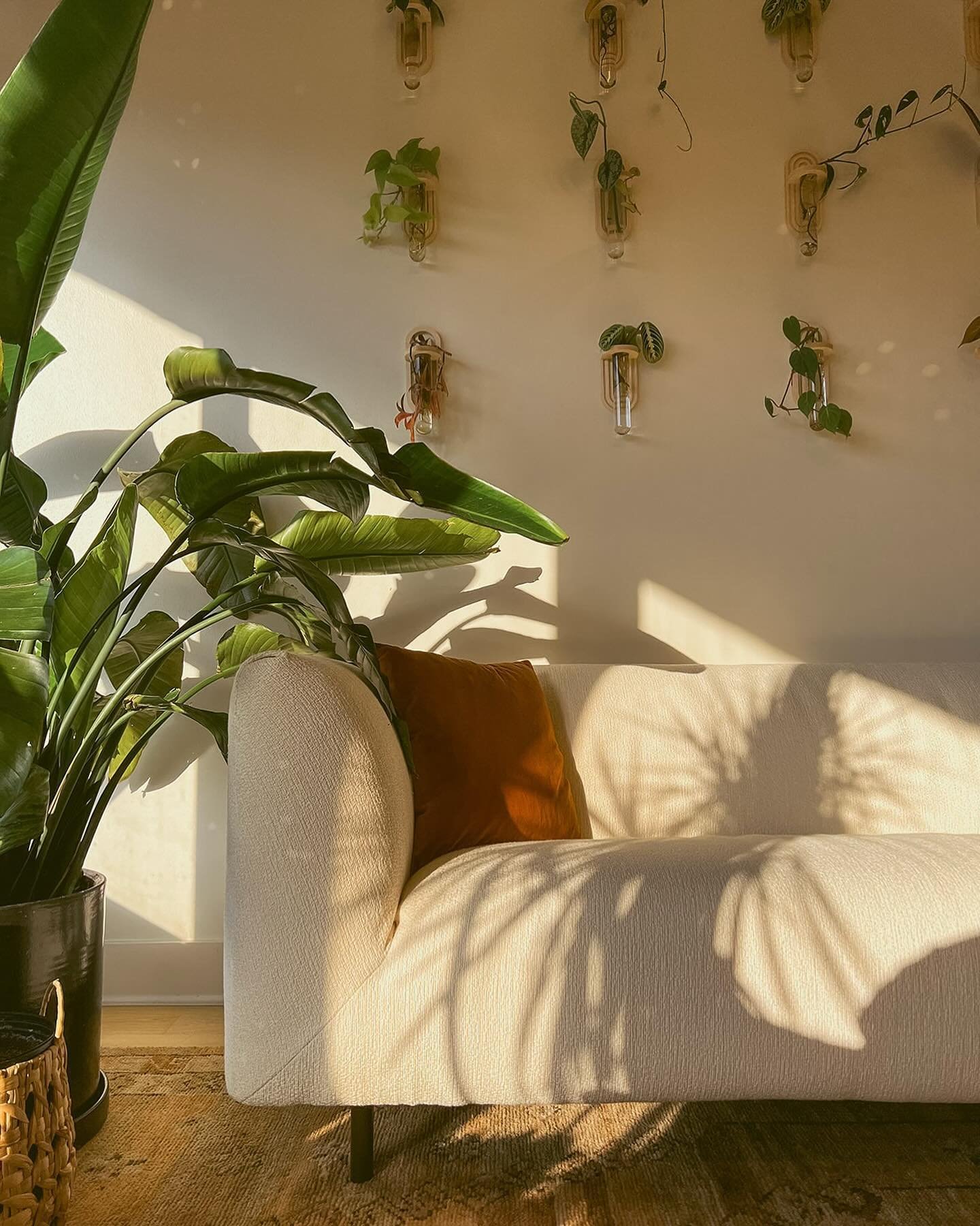 Step into the studio 🌿✨ 

Our lobby is a space where everyone is embraced with warmth, compassion &amp; comfort. From the abundance of greenery (shoutout @plantsavvyco) to the soothing tunes, we invite you to relax before your treatment begins. 
.
.