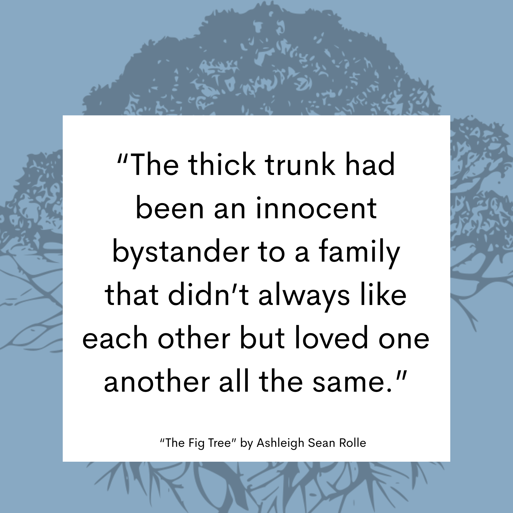 The Fig Tree