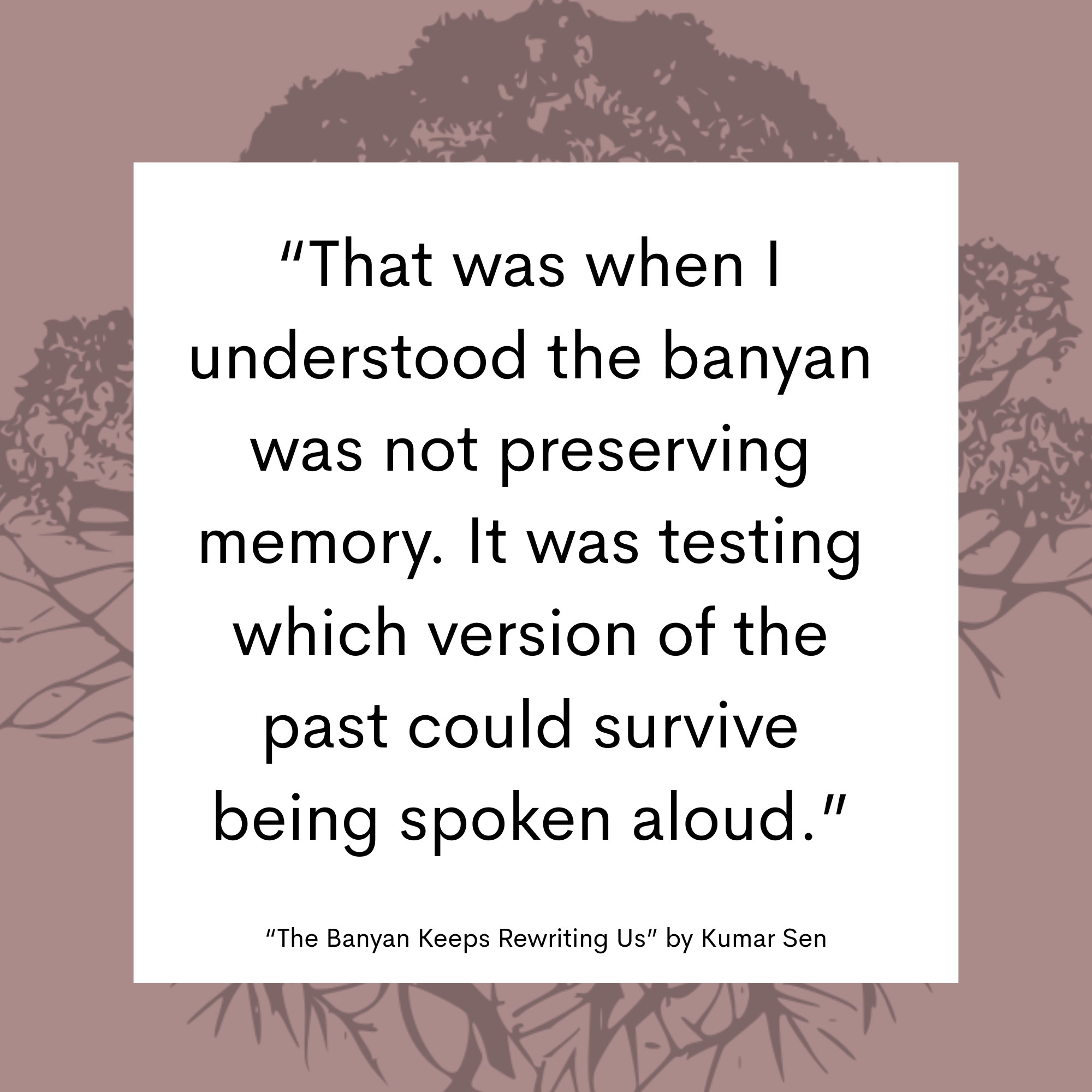 The Banyan Keeps Rewriting Us