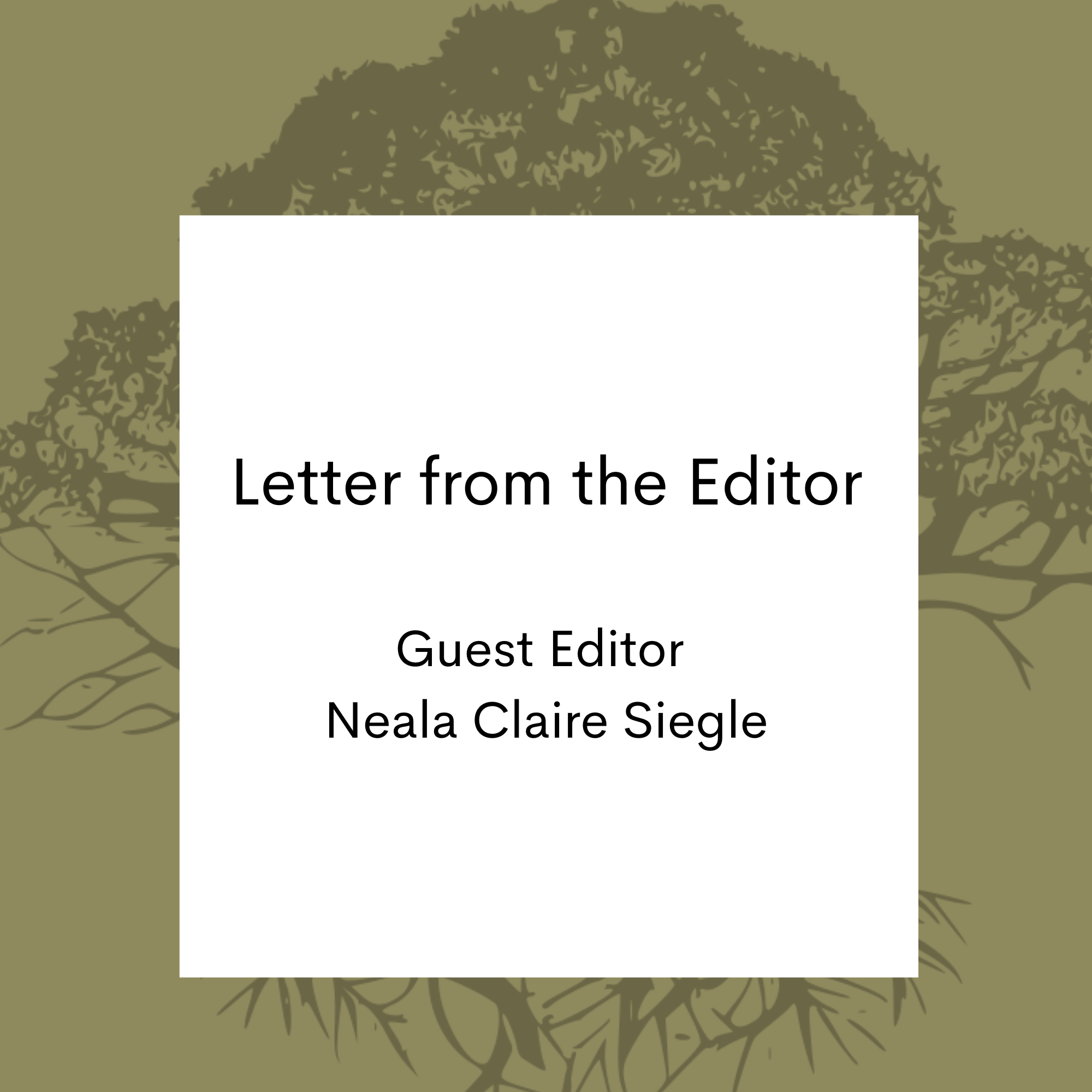 Letter from the Editor