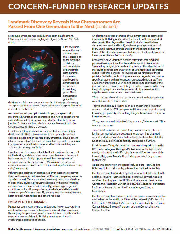 Newsletter Page 6.png