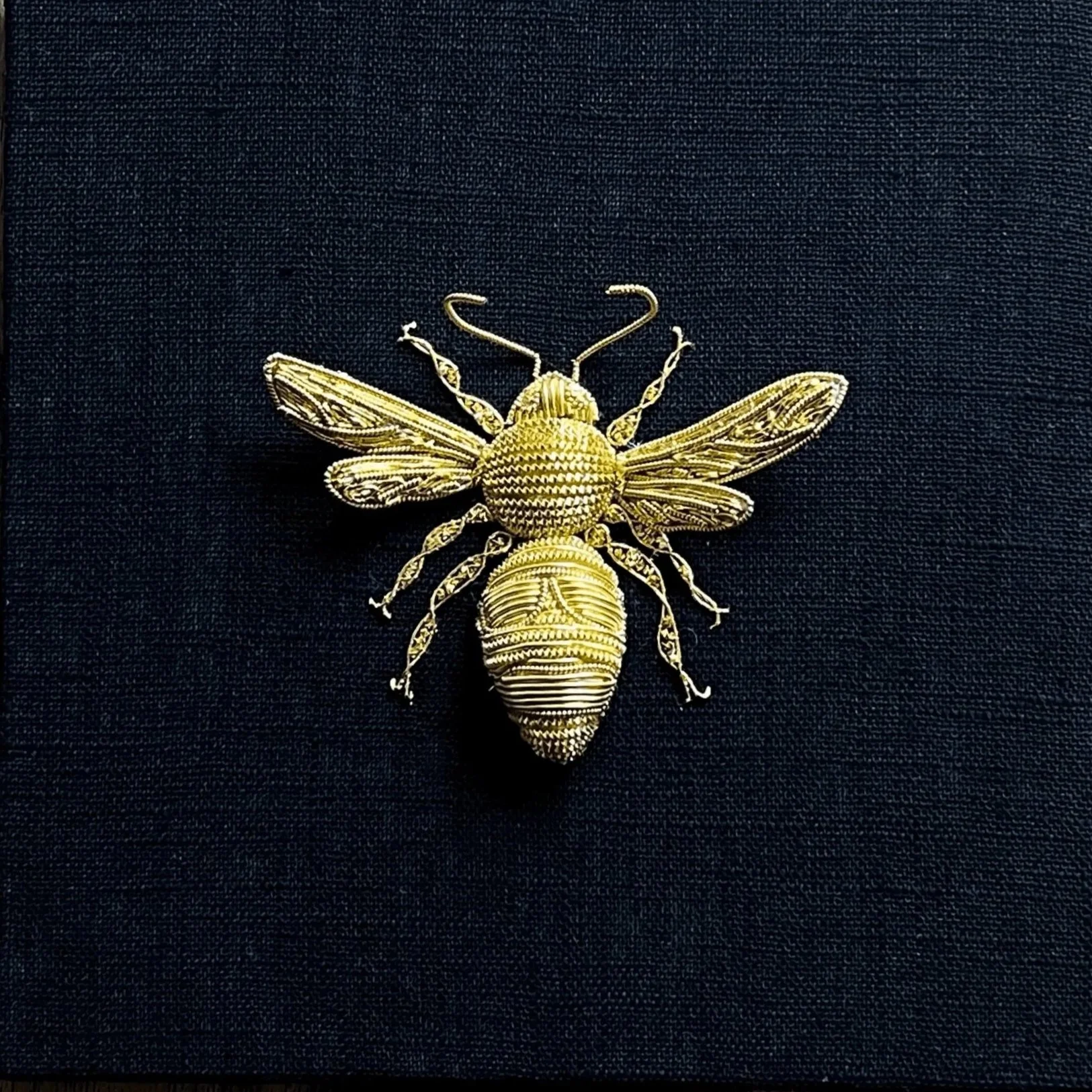 Entomology no. 10: Bombus soroeensis