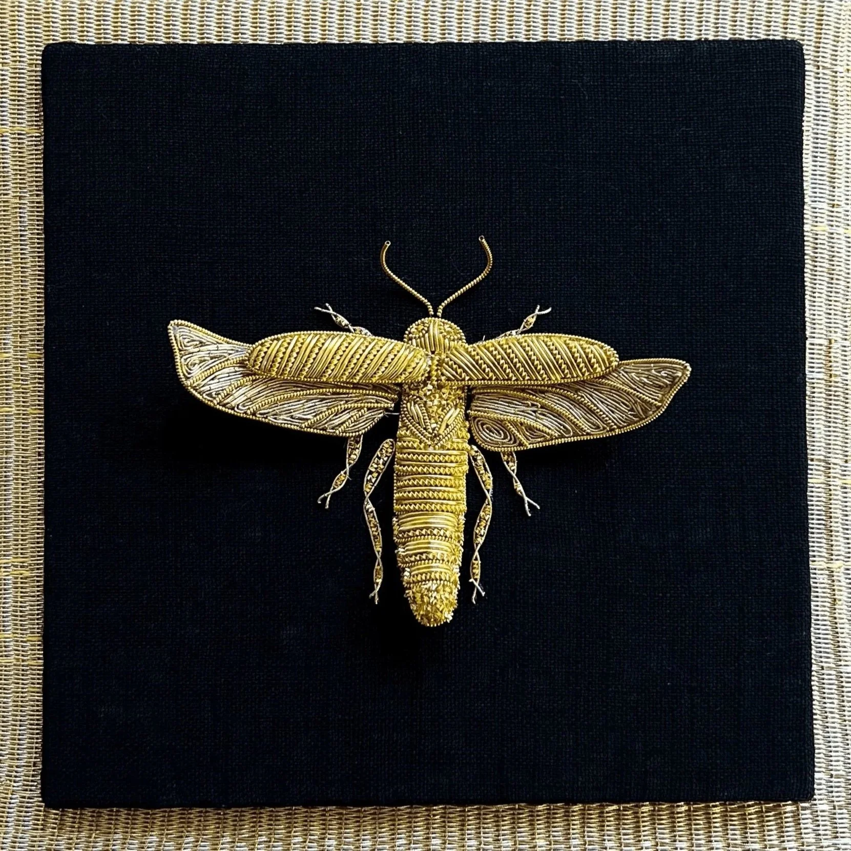 Entomology no. 7: Lampyridae