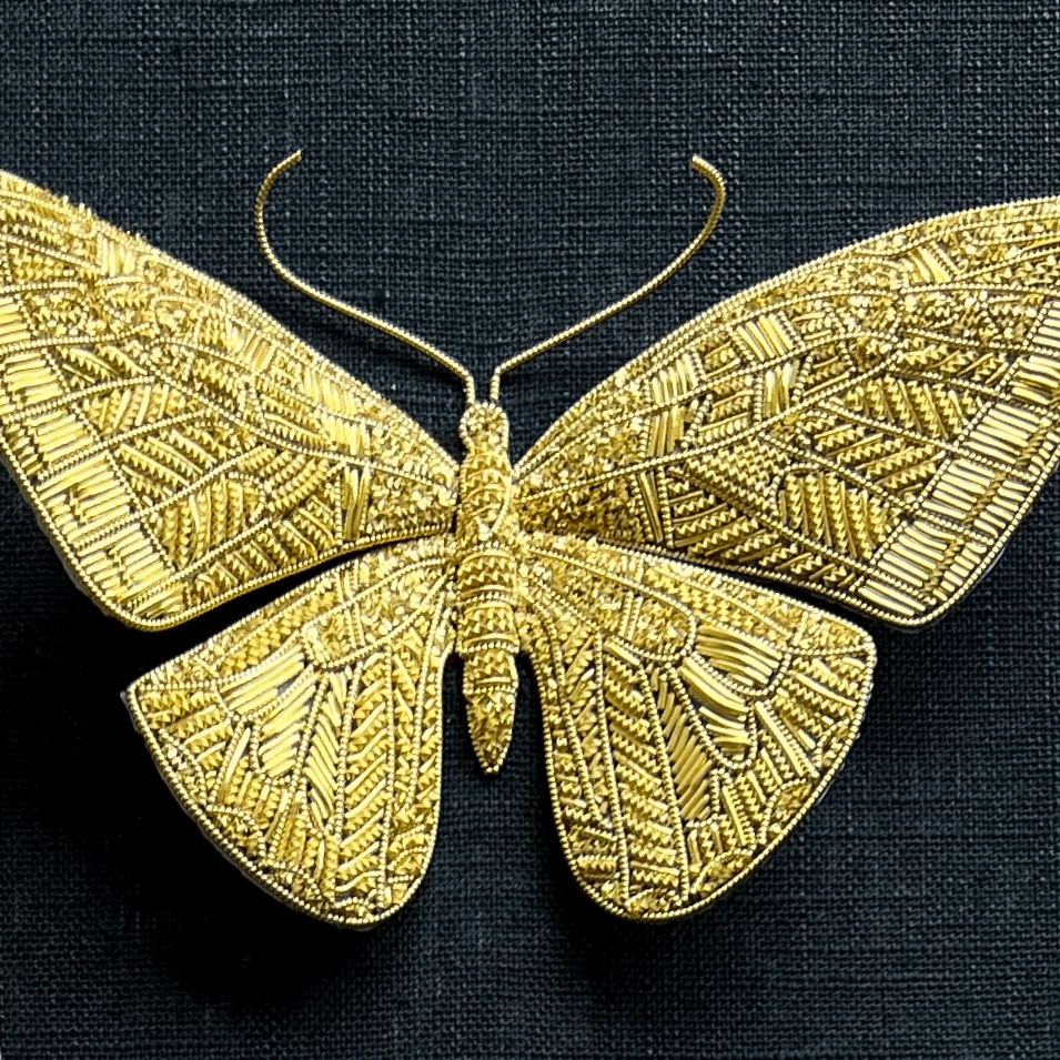 Entomology no. 11
