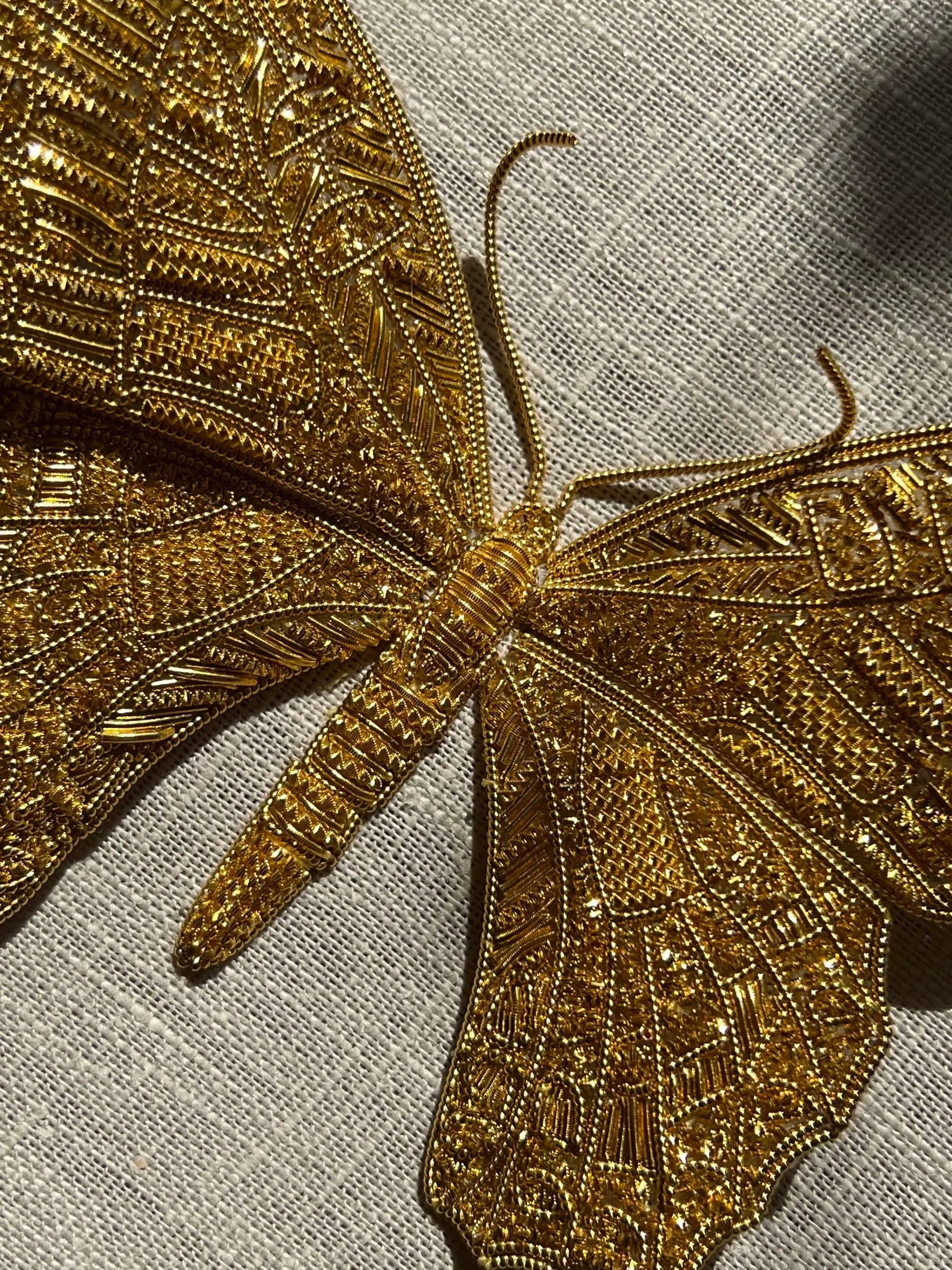 Entomology+no.+12+%282%29.jpg