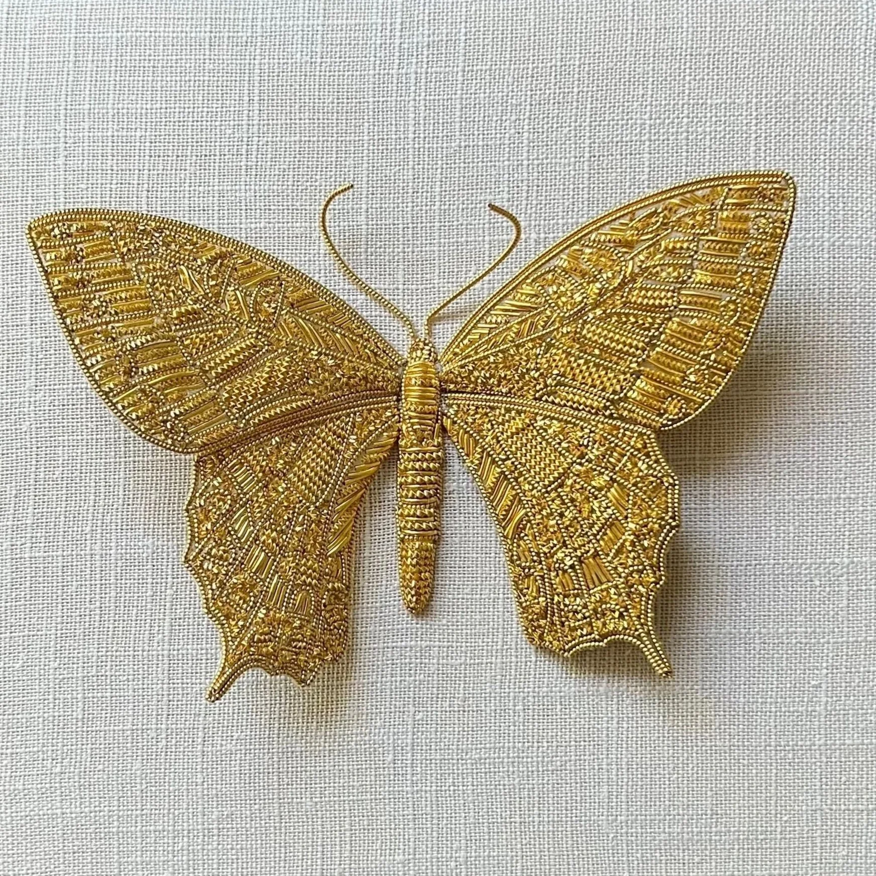 Entomology no. 12: Papilo canadensis
