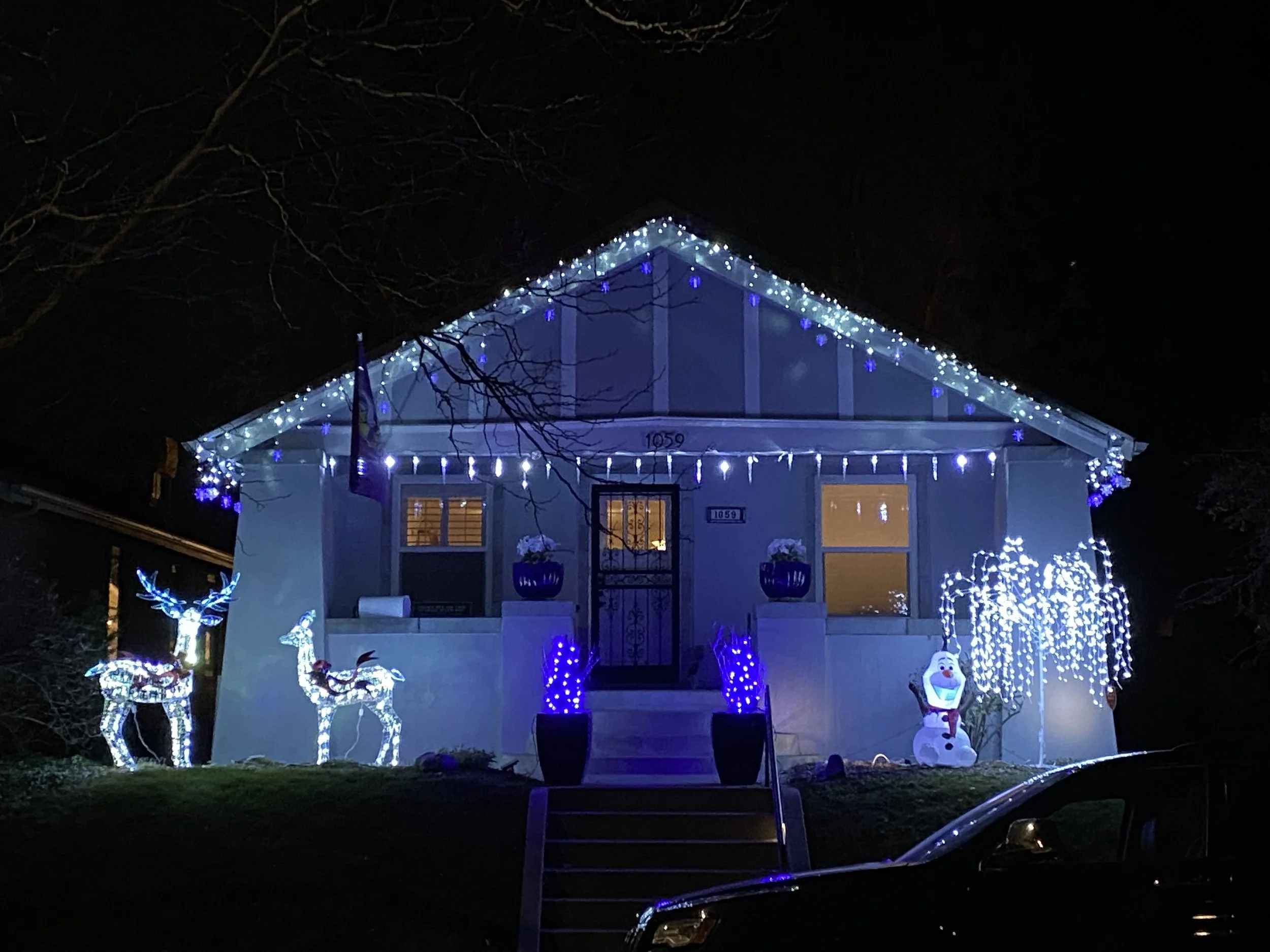 BA593969-E857-41F8-A370-DF4C60C391C5 - Cathy Trom.jpeg