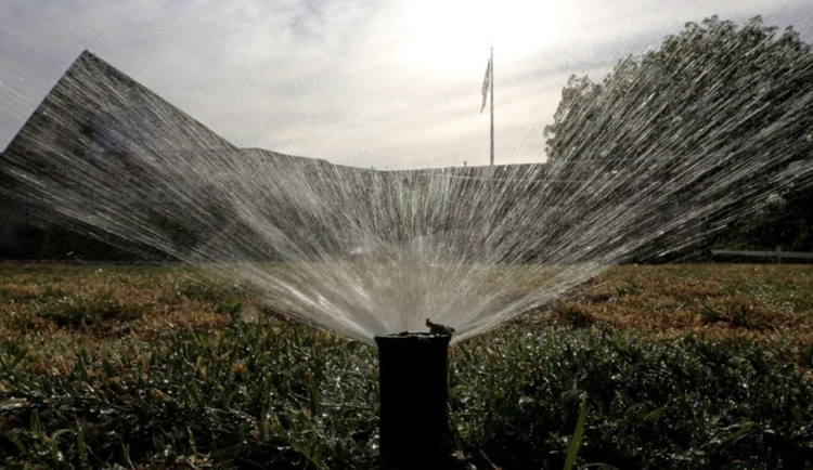 Free Garden Webinar Series #4 - Drought: Garden and Tree Water Issues with Jessica Alexander from Denver Water