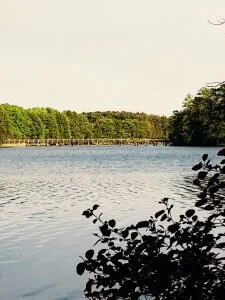 Pagelsee_inmitten_von_Natur.jpg