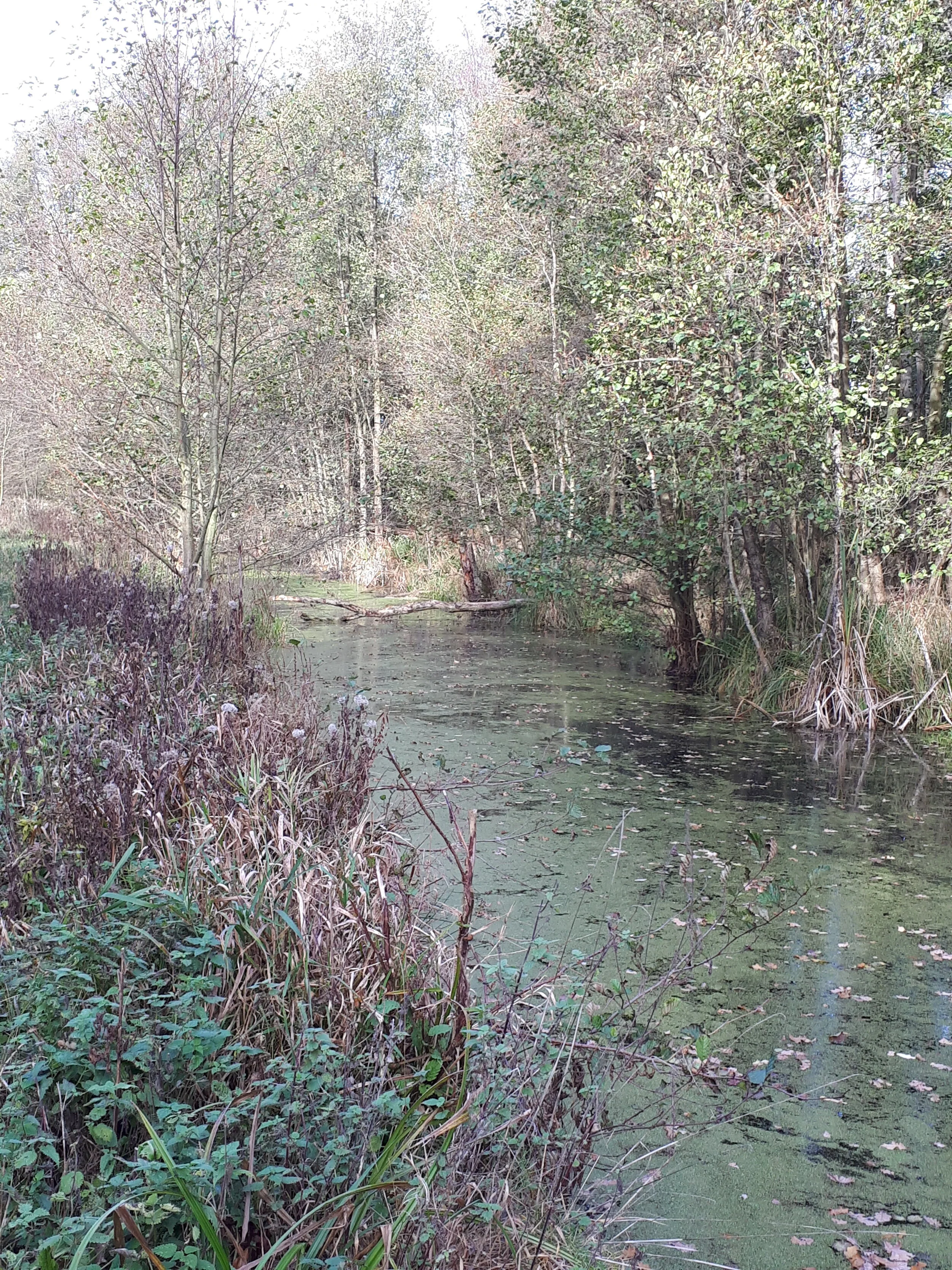 Krienke7_Umgebung_Ufer.jpg