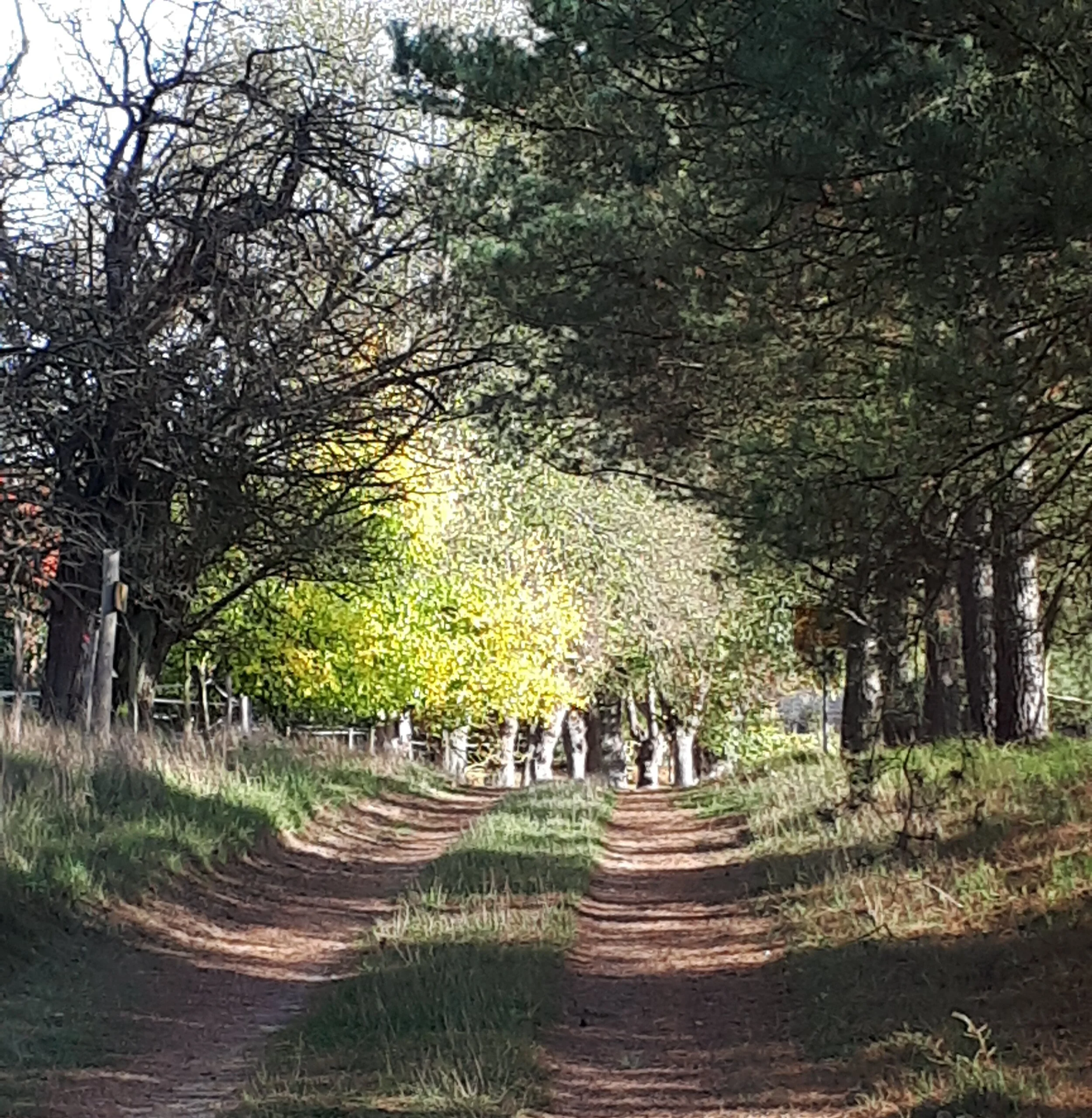 Dorfstraße Krause.jpg