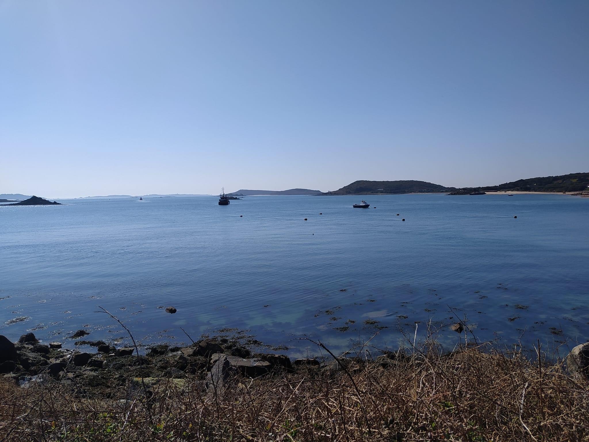 IMG_4620.jpeg