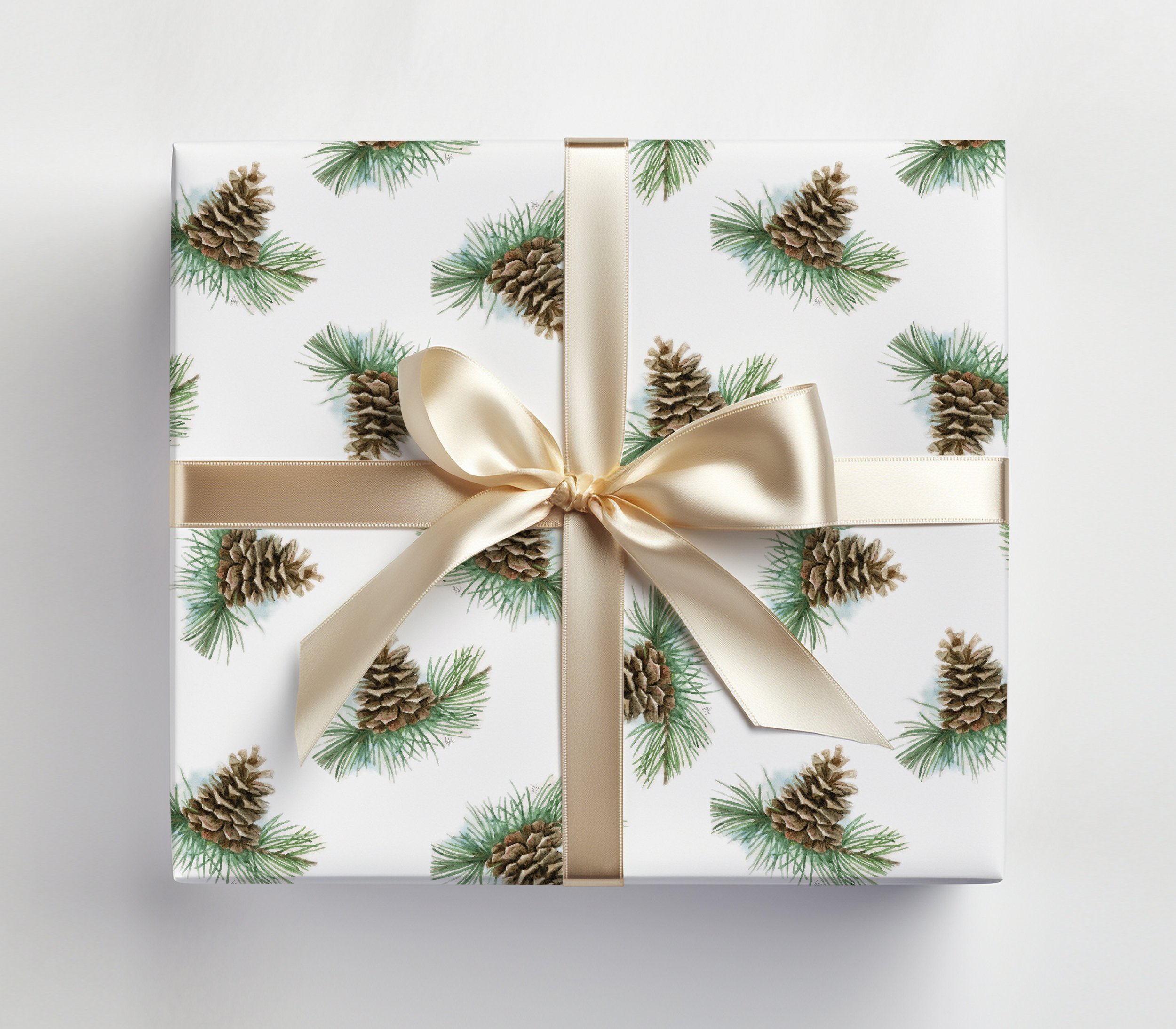 Pine Branch GiftBox-Mockup.jpg