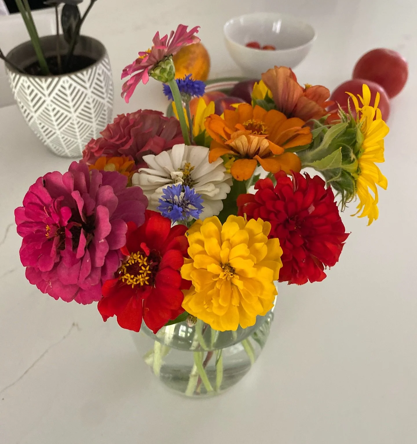 Some pretty zinnias and sunflowers from my garden this year&mdash; I grow them specifically for cut flowers! You can&rsquo;t see them but there&rsquo;s also delicious cherry tomatoes in a bowl,  finally ready to pick from the plant too! They have way