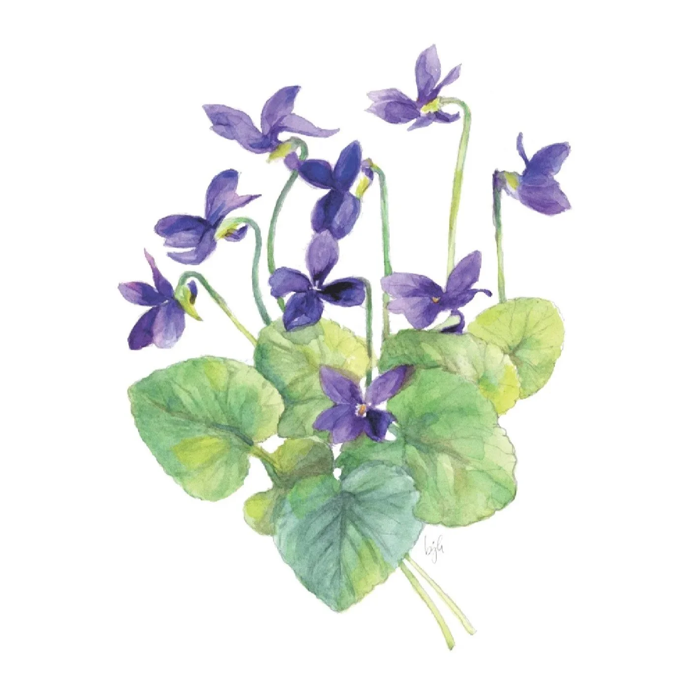 violets+no+verse+card+mockup.jpg