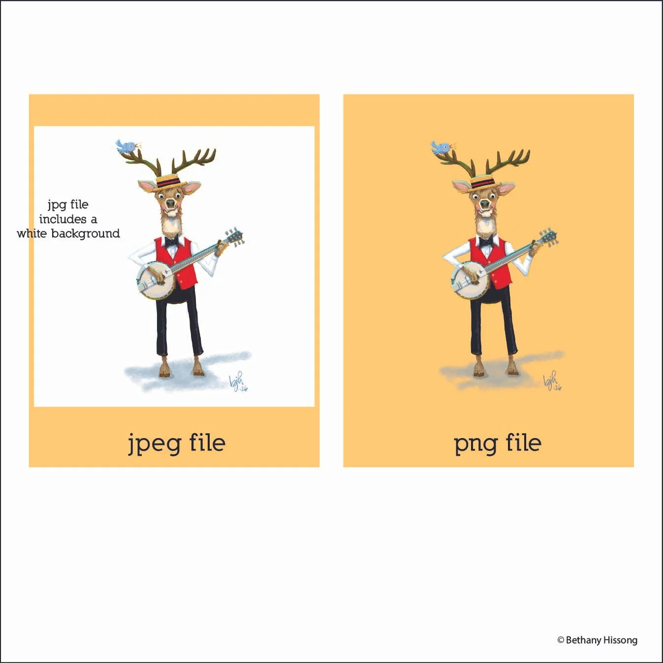 What is a PNG file?