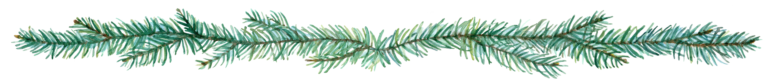 A detailed illustration of a pine tree branch with green needles.
