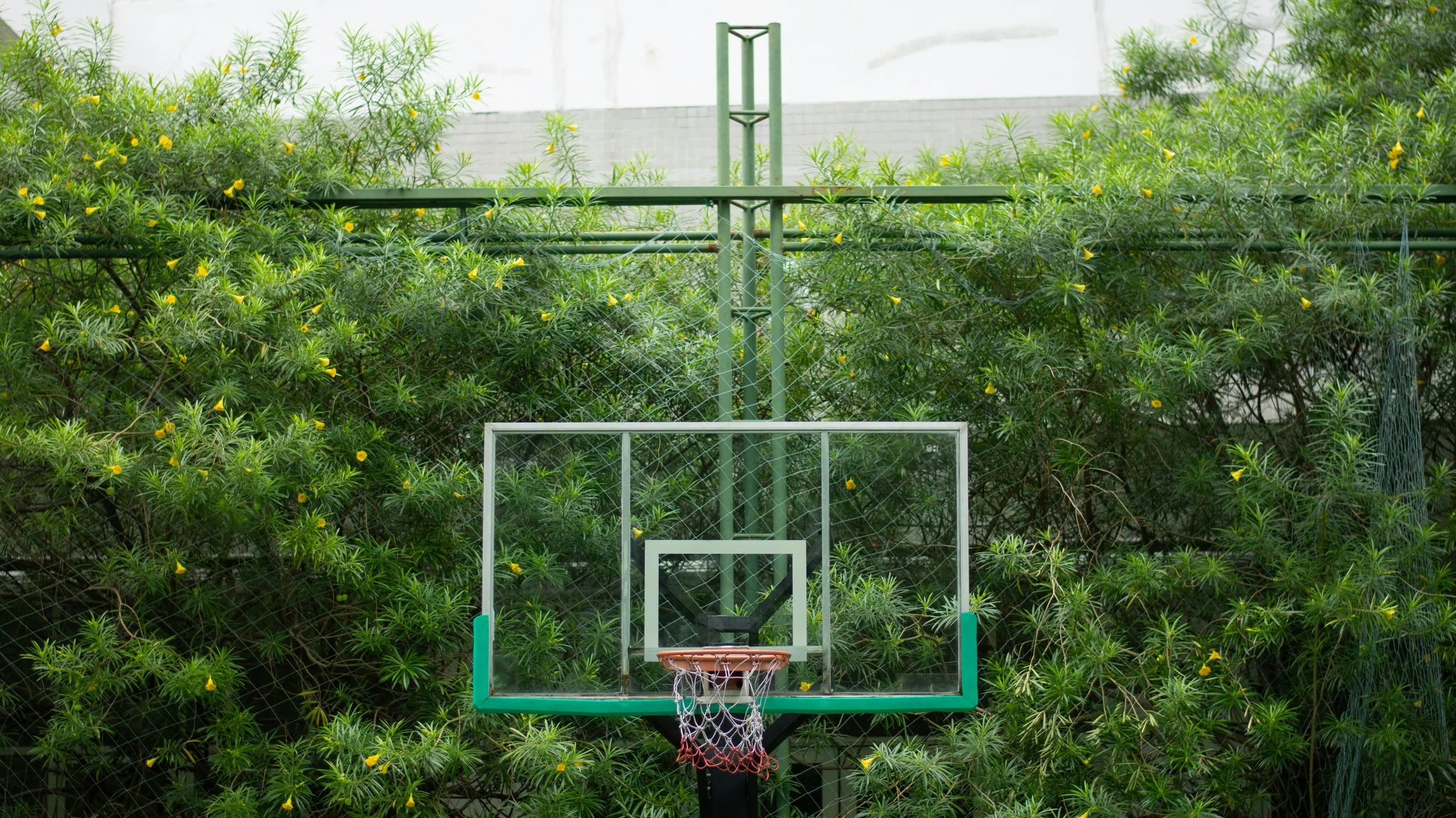 The Green Marketing Trap: Introducing the ‘direct green rebound effect’