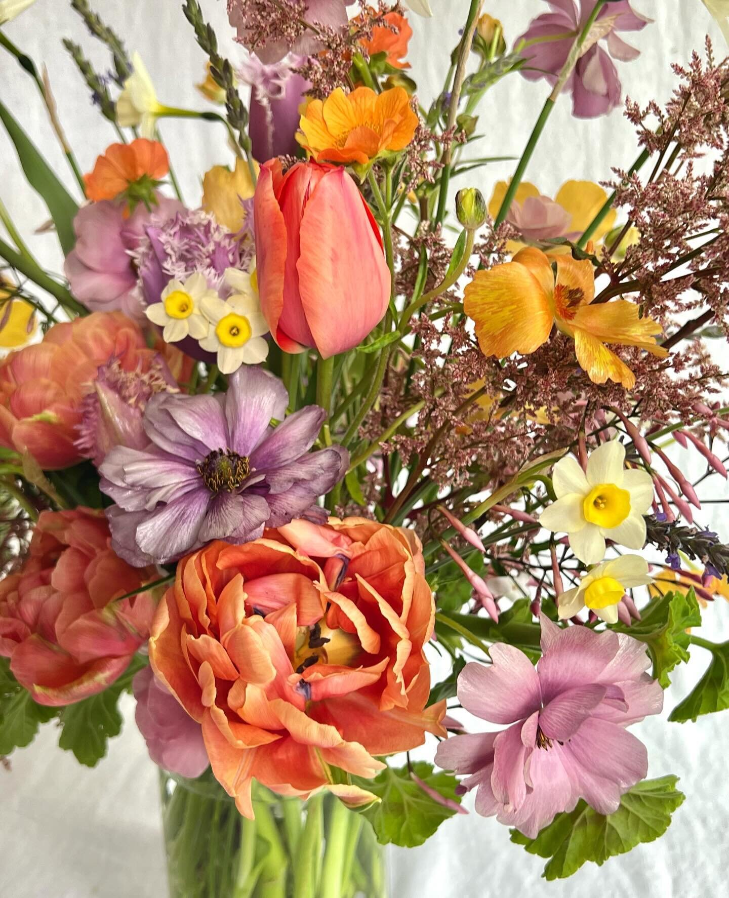 A subtle variation of favorite peach/lilac combo, this one hits a little different with some of my fave juicy tones like coral, mauve, apricot, goldenrod, fuchsia, and grape. 🍇🍑🍉🍎🍒🍊🥭

The kittens were so curious about the flowers and my photo 