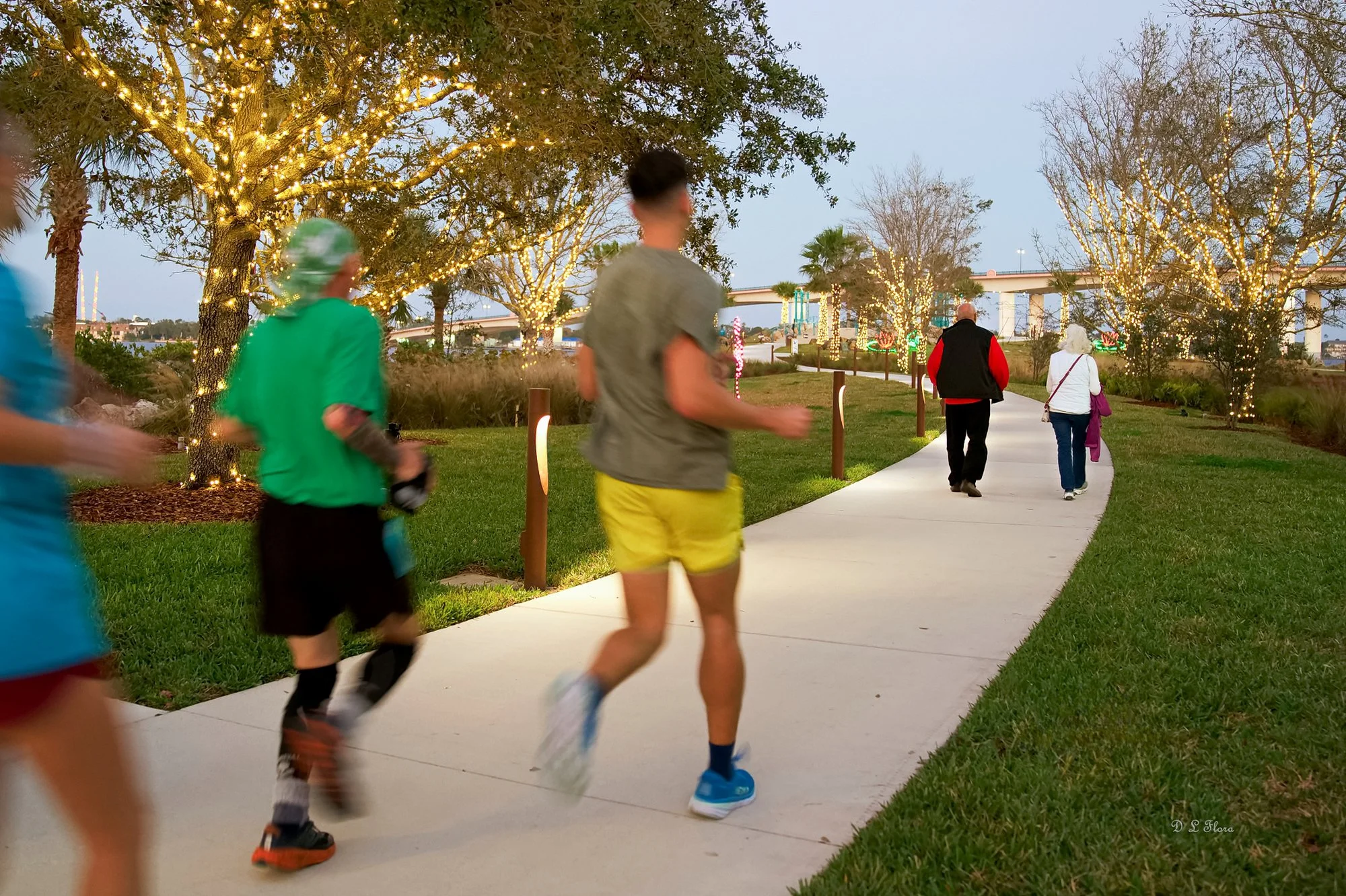 Donna Lovelace-Flora- Photography- 18"x26"with frame- "A Festive Stroll"- $250 