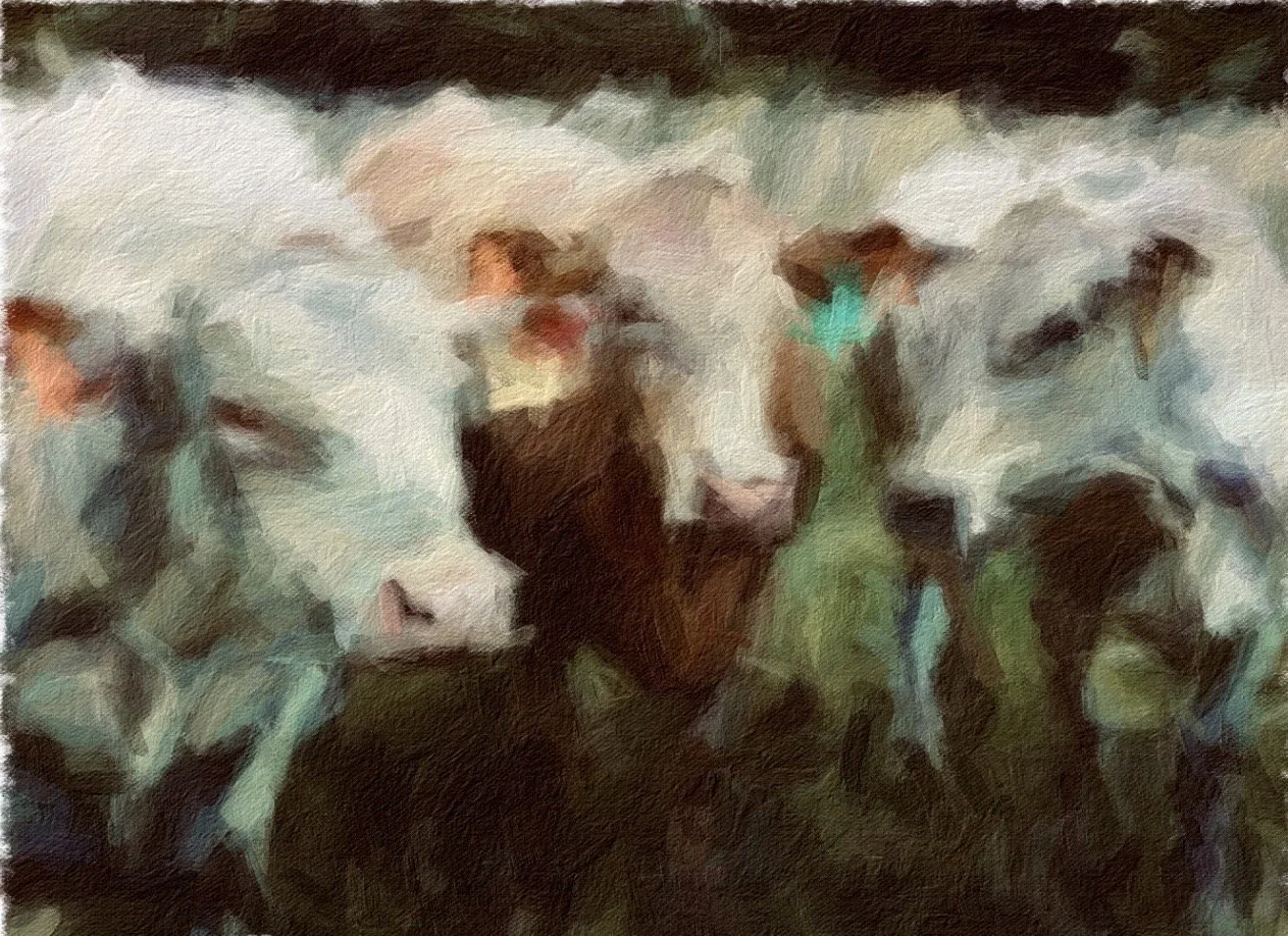 Nancy Wozniak- Charcoal Acrylic Colored Pencil- 18"x24"- "I Thought You Said There Was Corn"- $400 