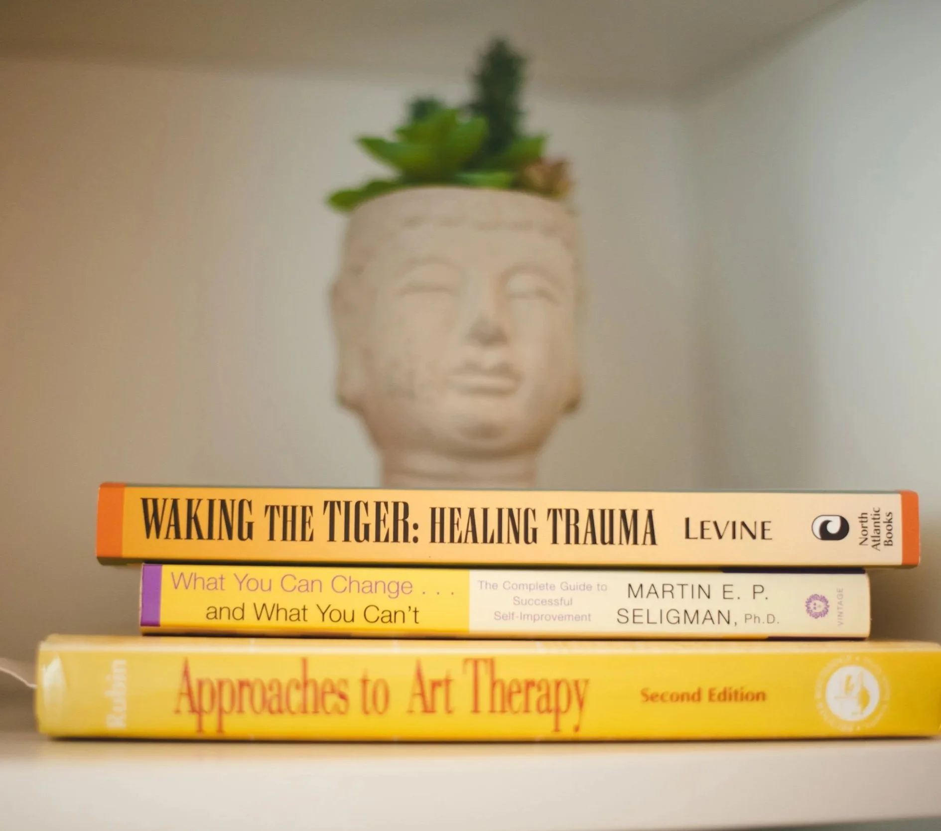 Stack of three books on therapeutic approaches and personal development. The top book is titled "Waking the Tiger: Healing Trauma" by Levine. The middle book is titled "What You Can Change... and What You Can't" by Martin E.P. Seligman. The bottom book is titled "Approaches to Art Therapy."