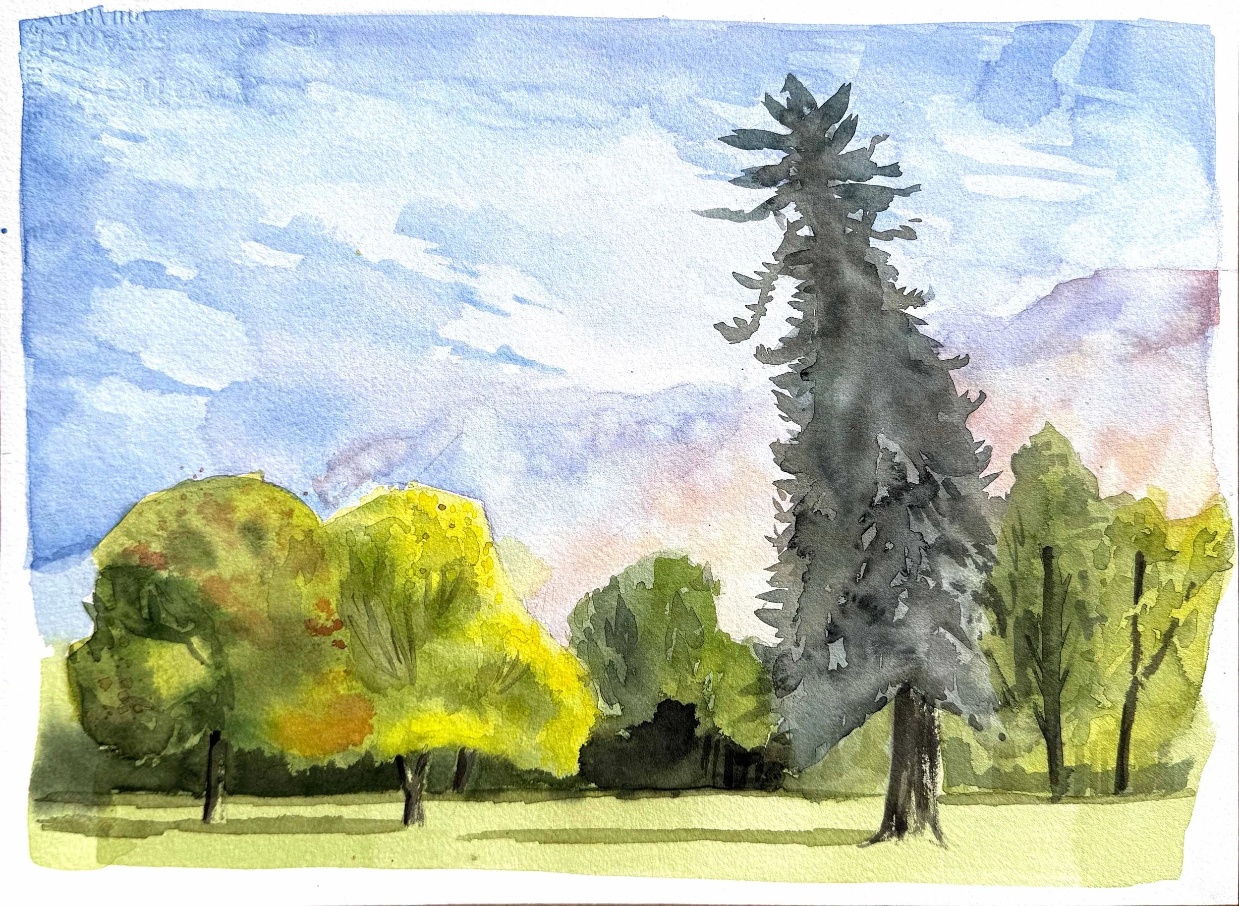 southwickbrynn_LATE_2050222_130344737_memorial park.jpg