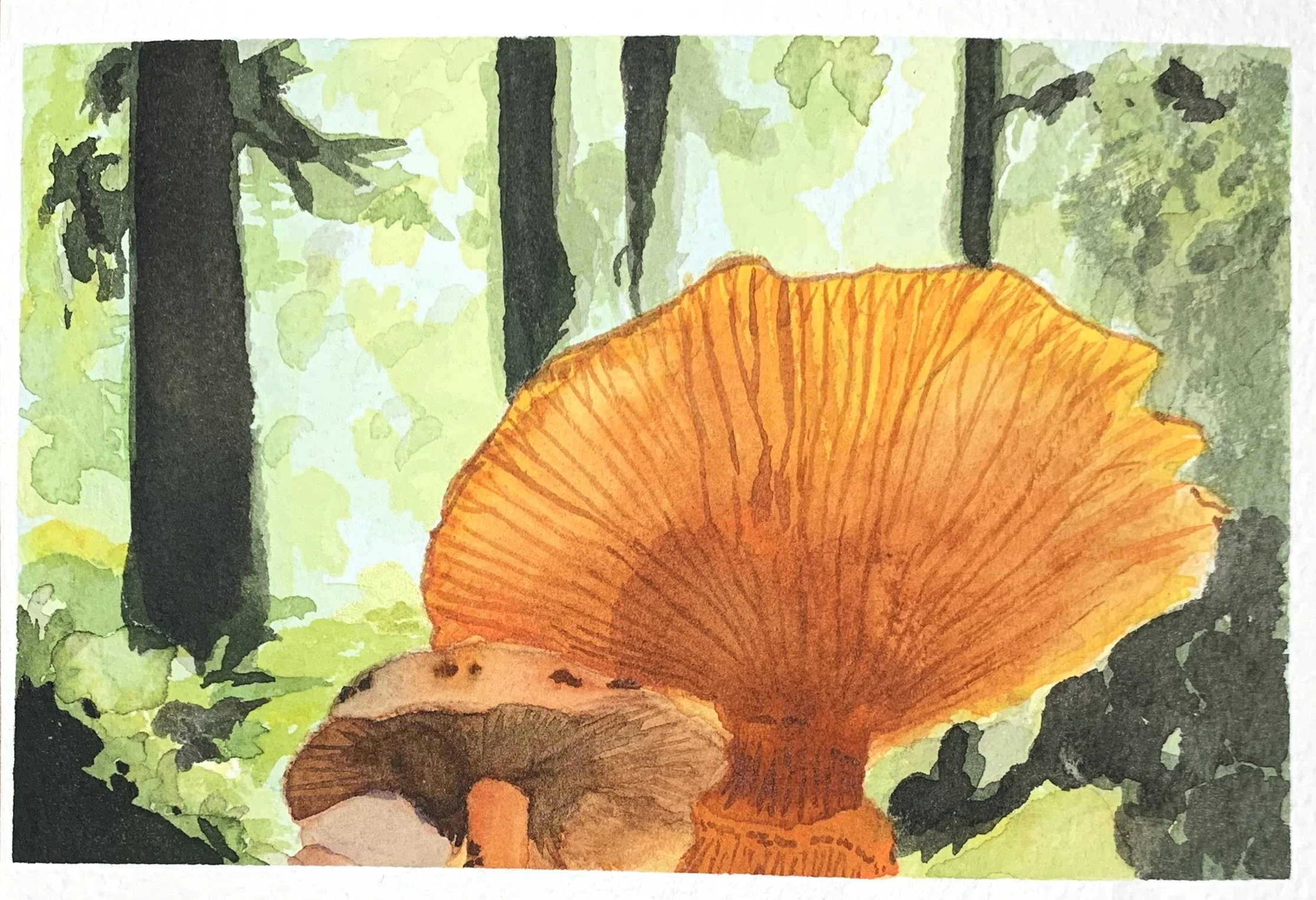 cooksydnie_1864784_114048739_Flora and Organic Project.jpg