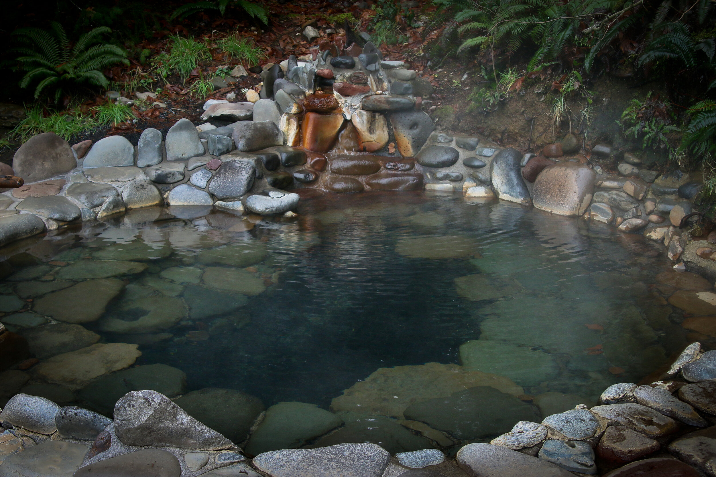 An empty stone-lined thermal pool surrounded by ferns at Breitenbush Hot Springs