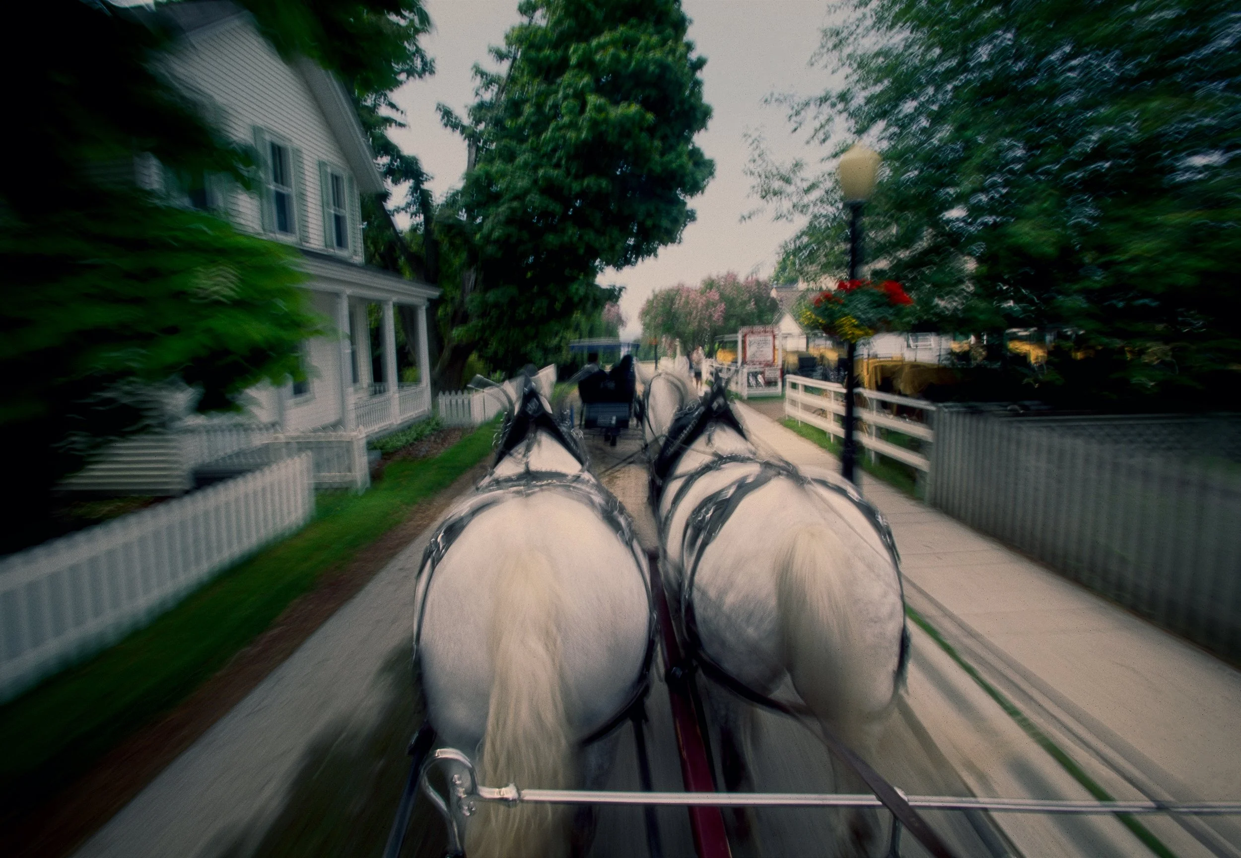 Once An Island Alone