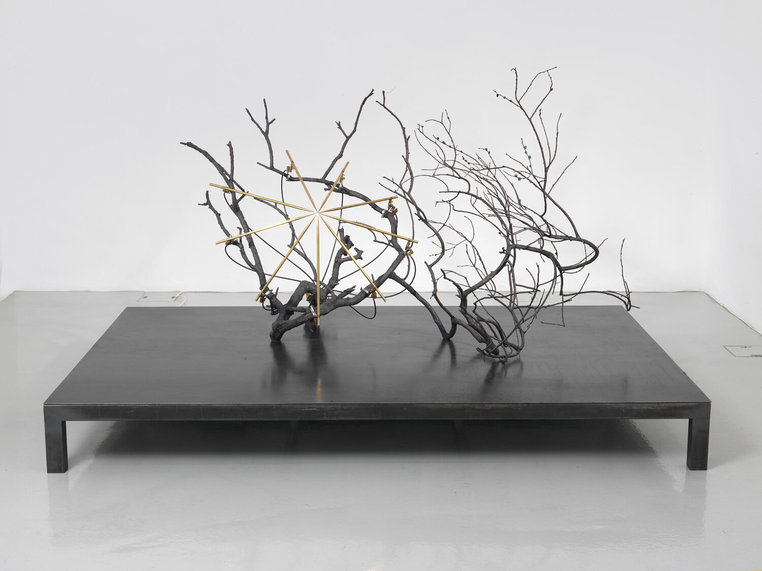 Revelation of a tree, 2014, branch cast in bronze, steel, brass, motor, electronic device, 145 x 230 x 150 cm, base 25 x 230 x 150 cm