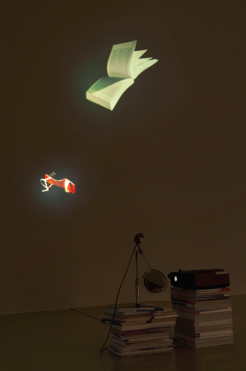 Flying Mirror: shoe, 2009, slide installation with a turning handmirror, ed. 1/1, rotating motor 1 r.p.m. attached to a stative and a hand mirror, books, shelf, videoprojector PAL