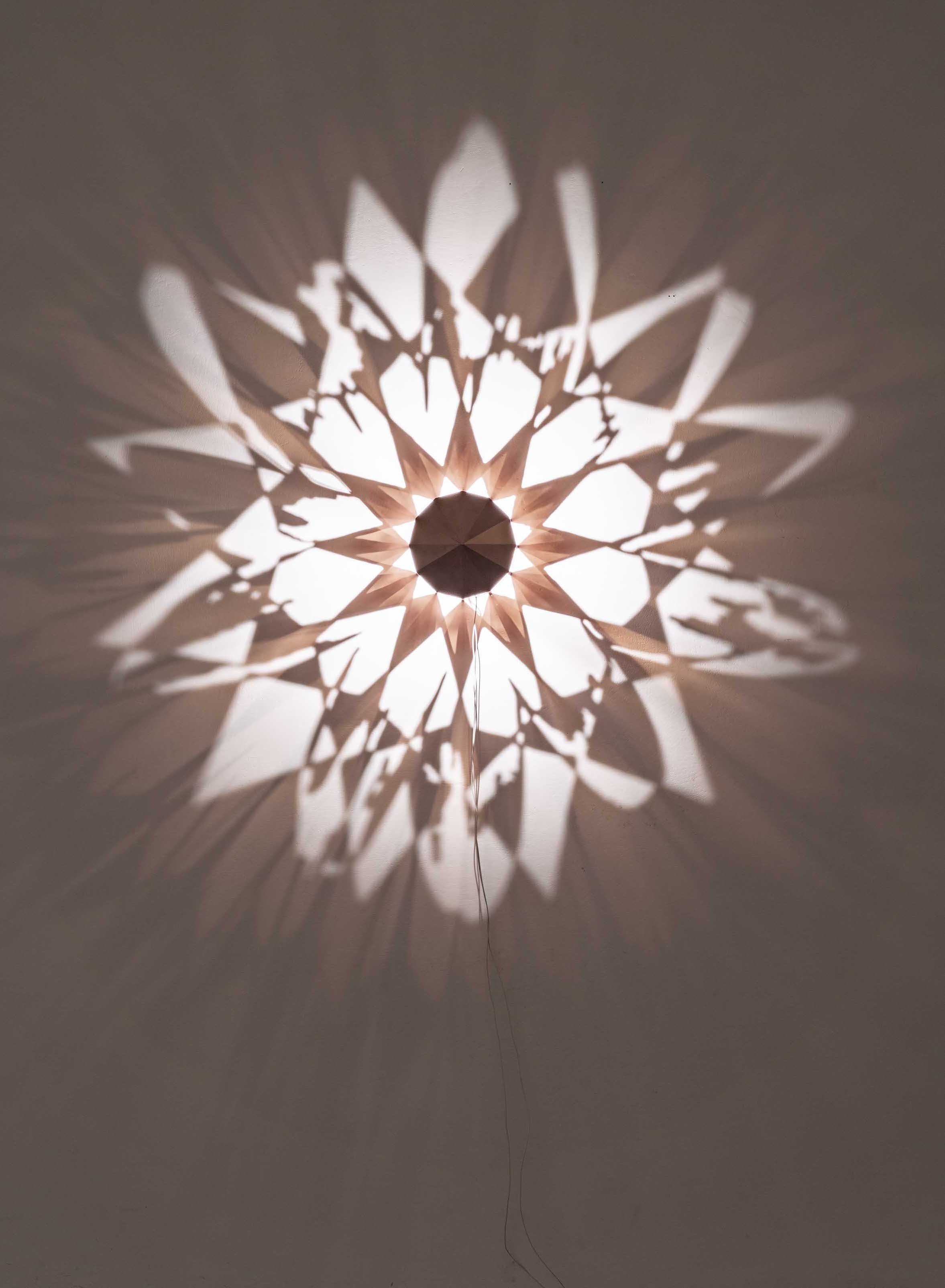 Mimetico fiore 3 (frontal view) copia.jpg