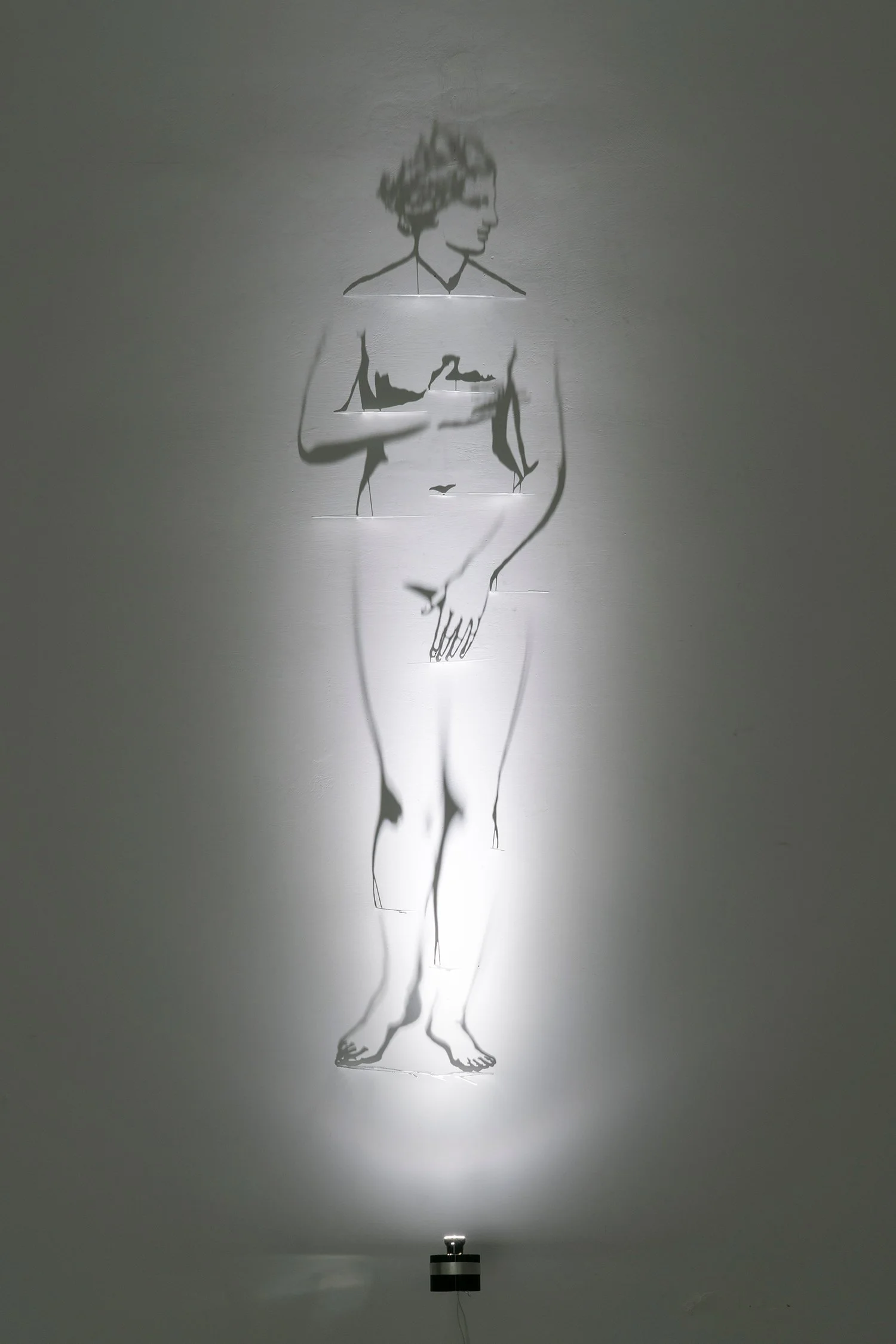 Venere medicea, 2023