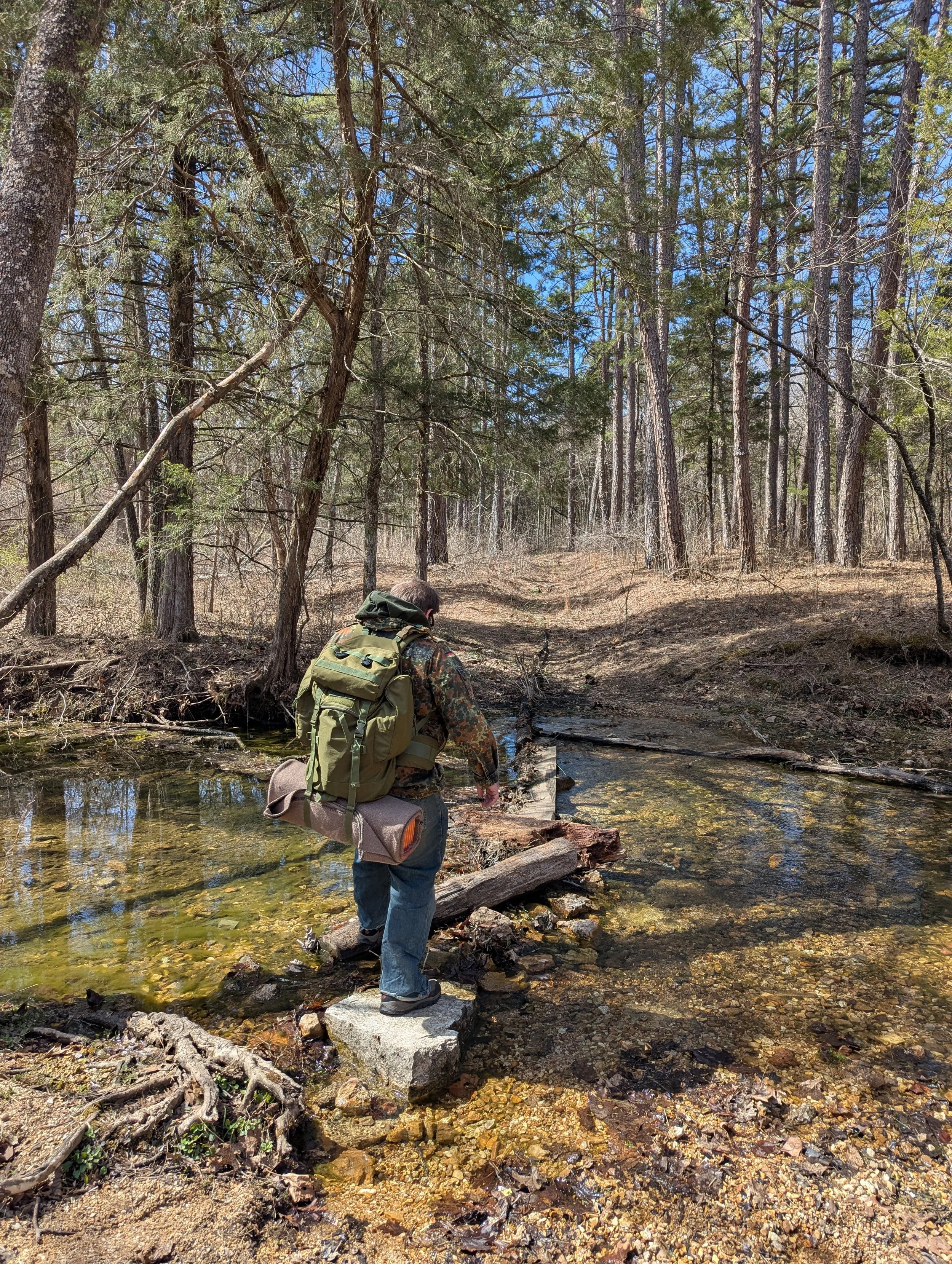 Justin, Mark Twain National Forest
