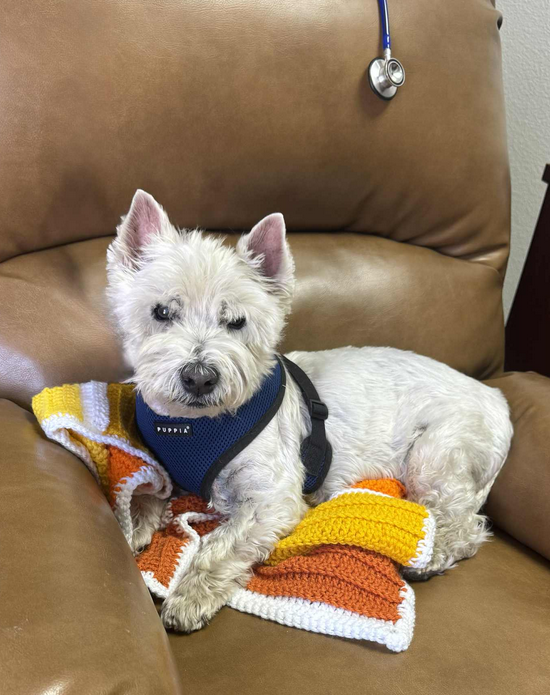 Monty, WROC’s  700th Adoption
