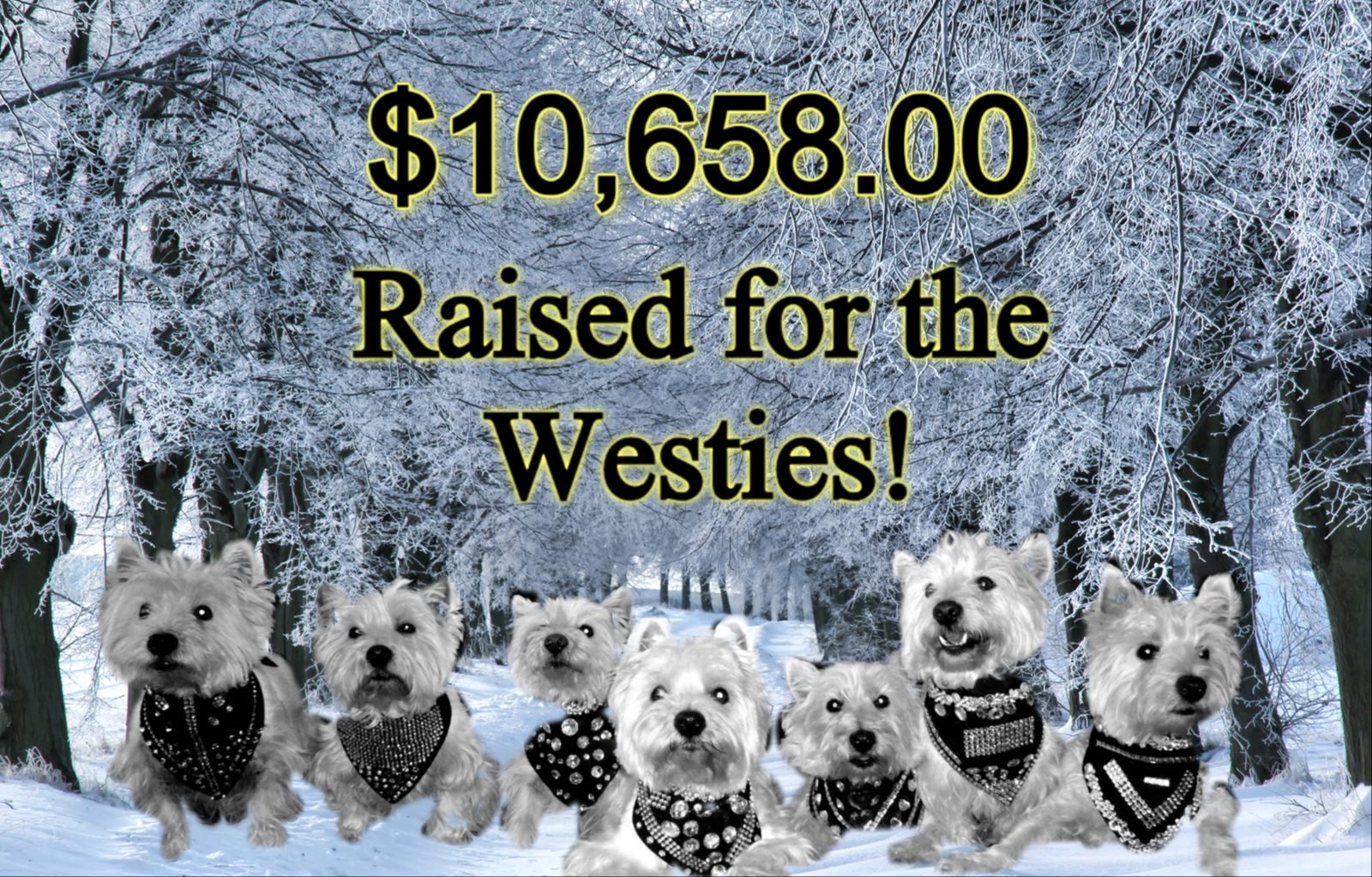 WROC’s Winter Wonderland Facebook Auction