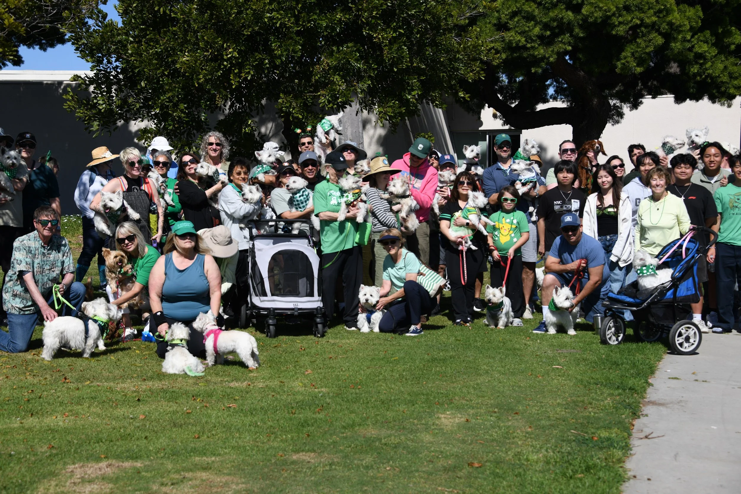 St. Patrick’s Day Walk